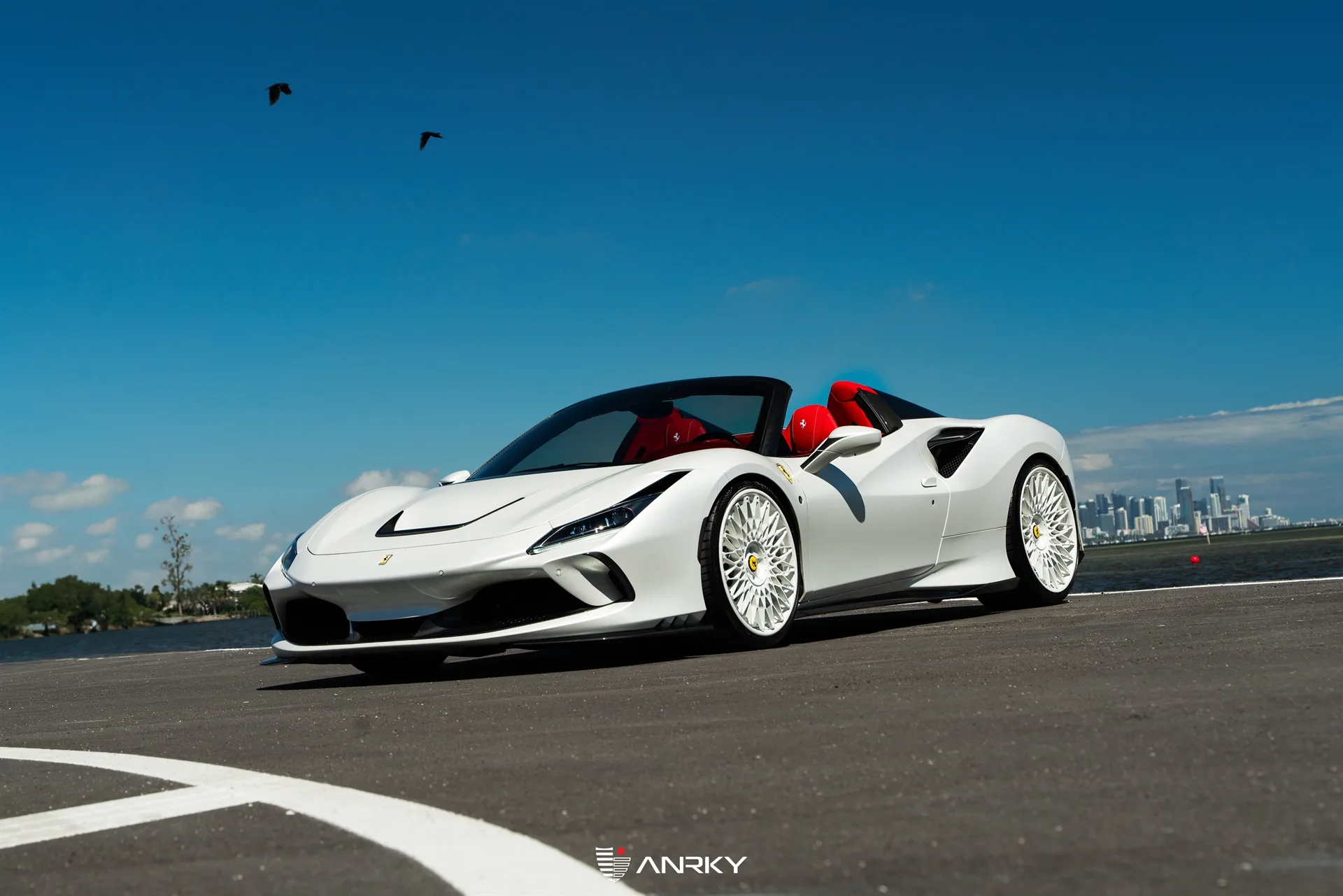 Anrky RETROSeries RS7.3 on Ferrari F8 F142MFL, photo 6