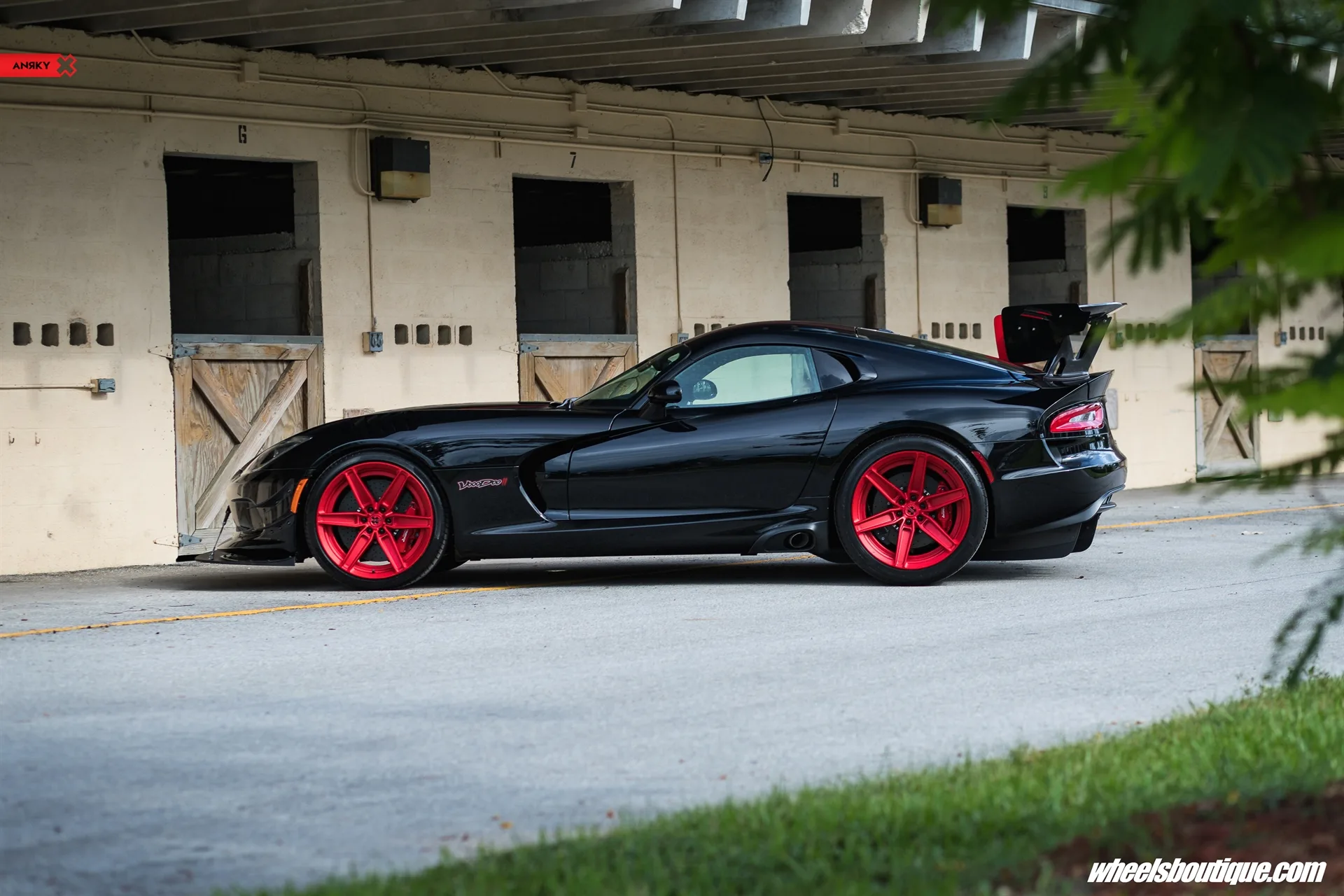 Anrky VooDoo II on Dodge Viper VX I (5th gen), photo 6