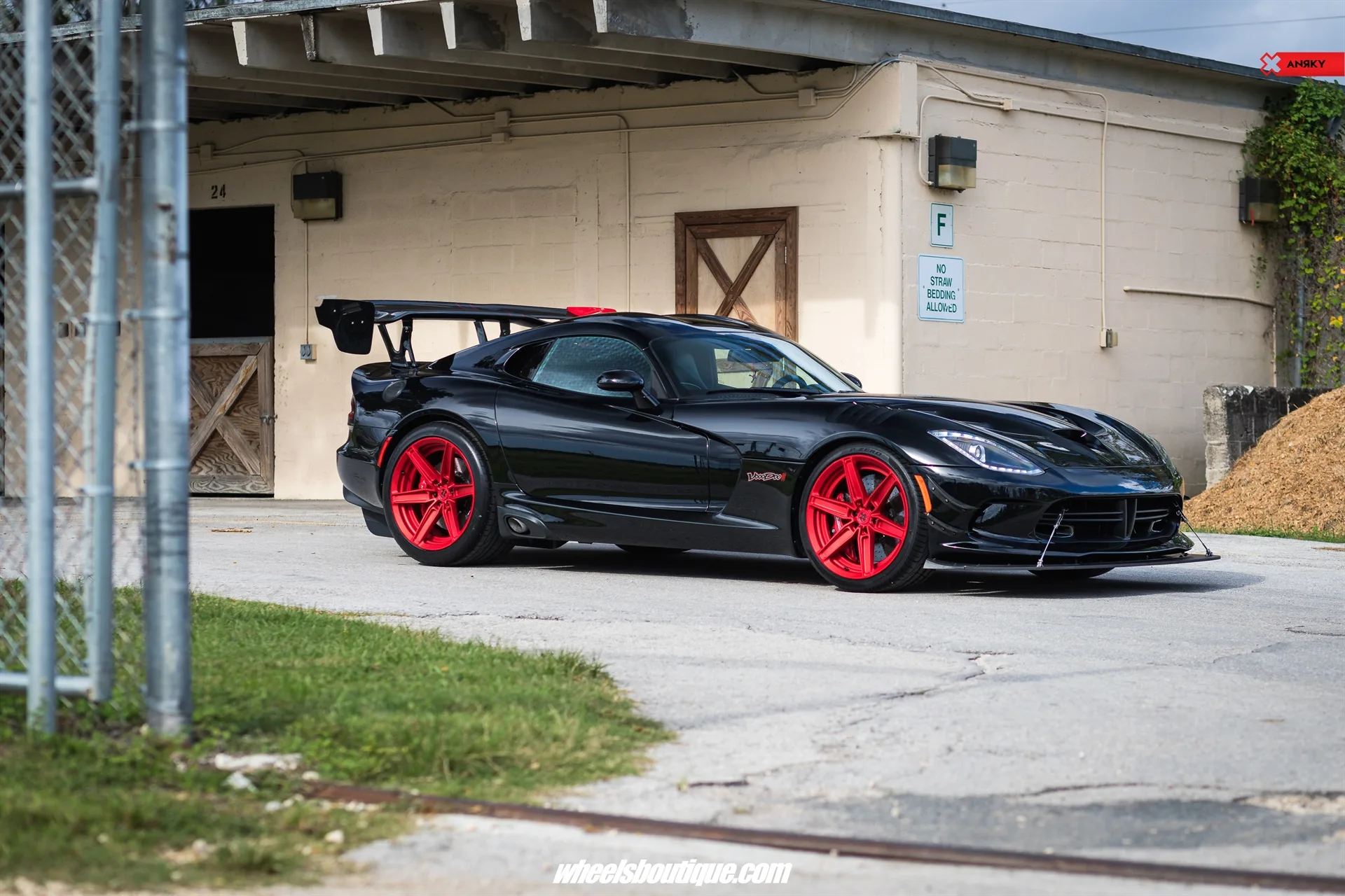 Anrky VooDoo II on Dodge Viper VX I (5th gen), photo 12