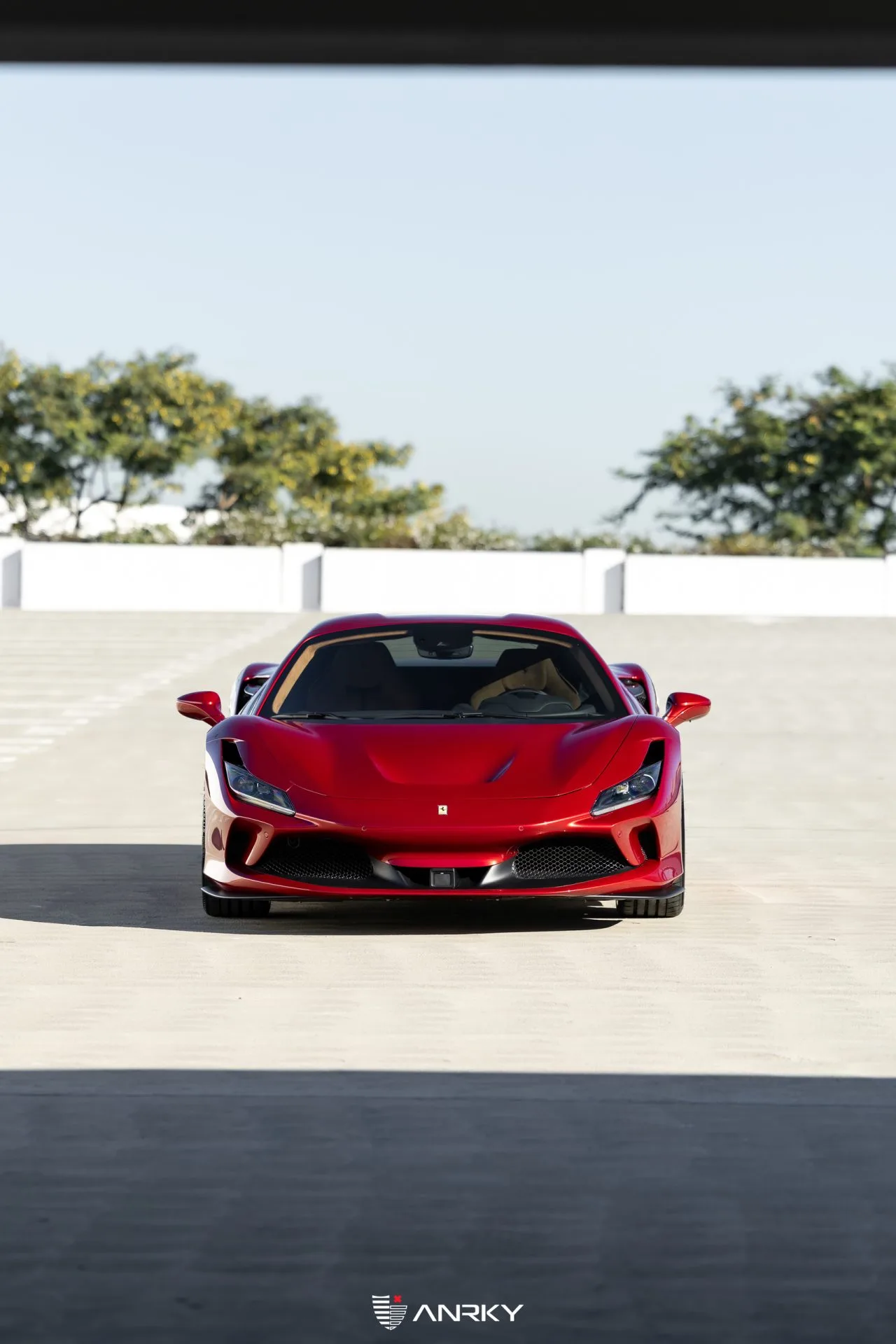 Anrky X|Series Carbon | X6-C on Ferrari F8 F142MFL, photo 5