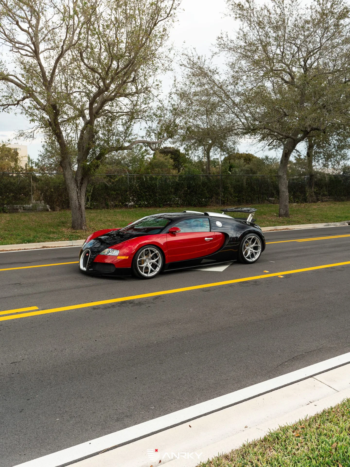 Anrky X|Series S1-X0 on Bugatti Veyron, photo 10