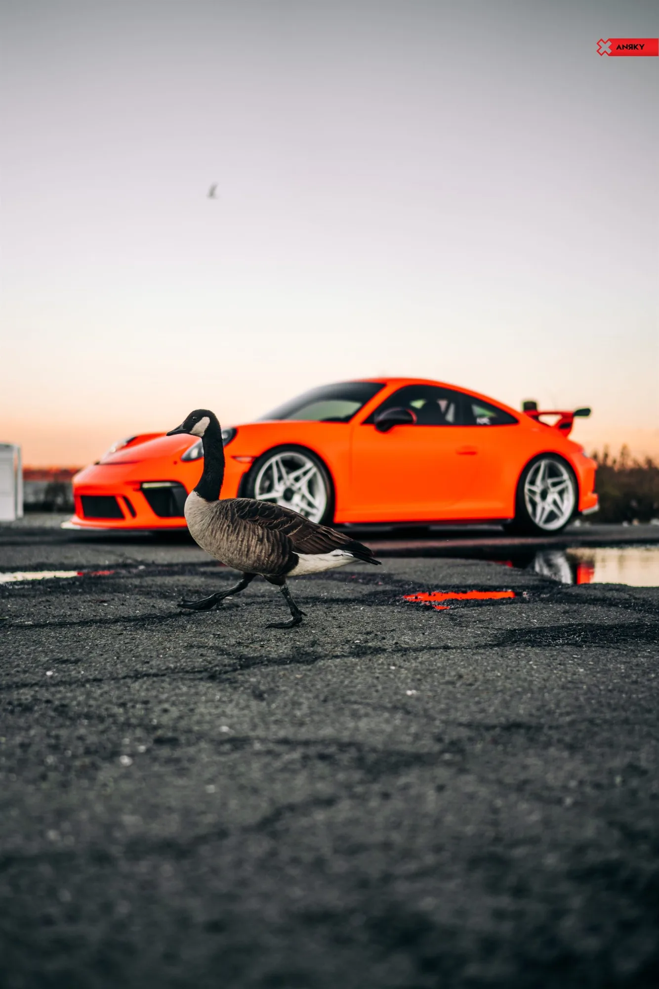 Anrky X|Series S1-X3 on Porsche 911 991.1, photo 9