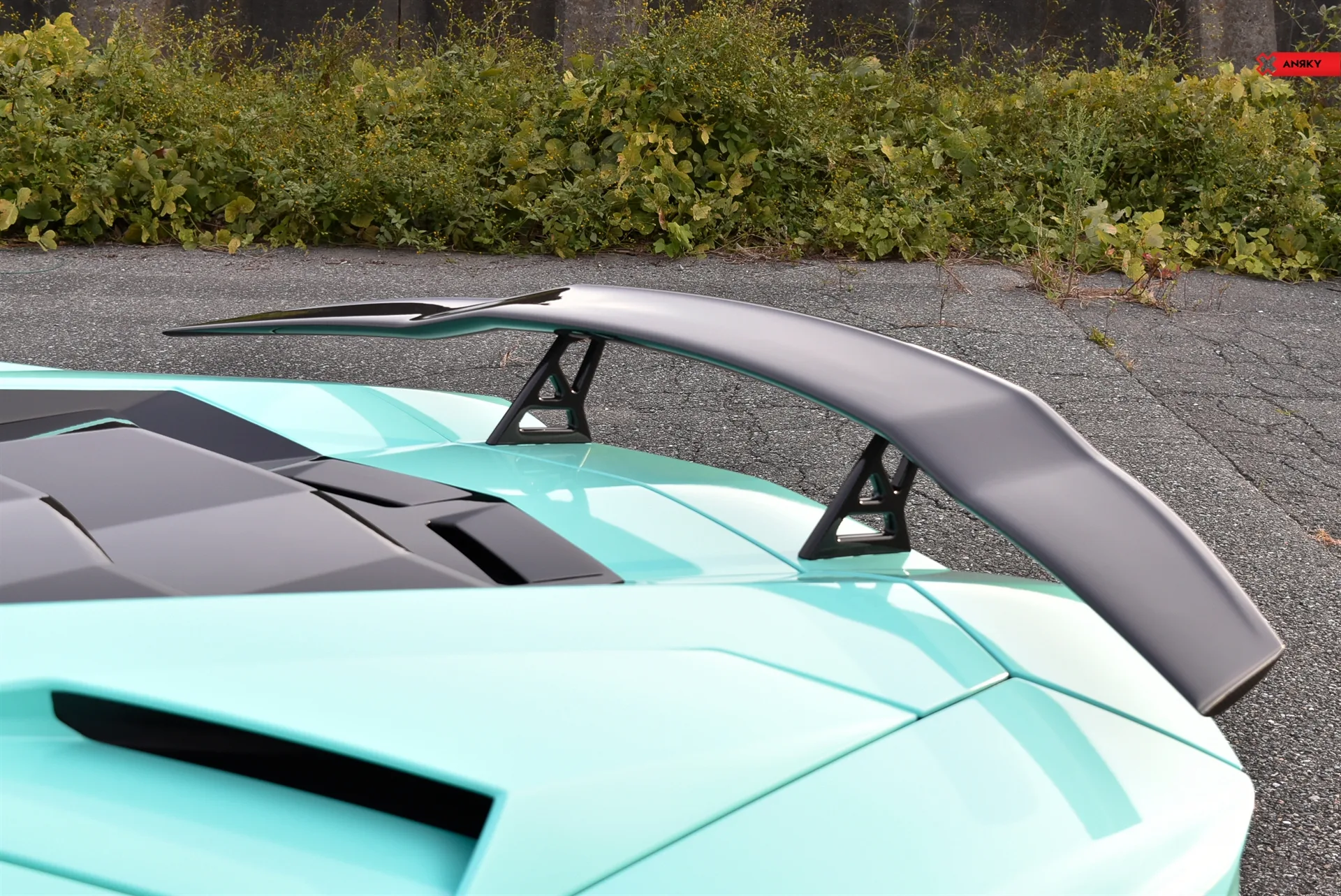 Anrky X|Series S1-X5 on Lamborghini Aventador S LP 740-4, photo 5