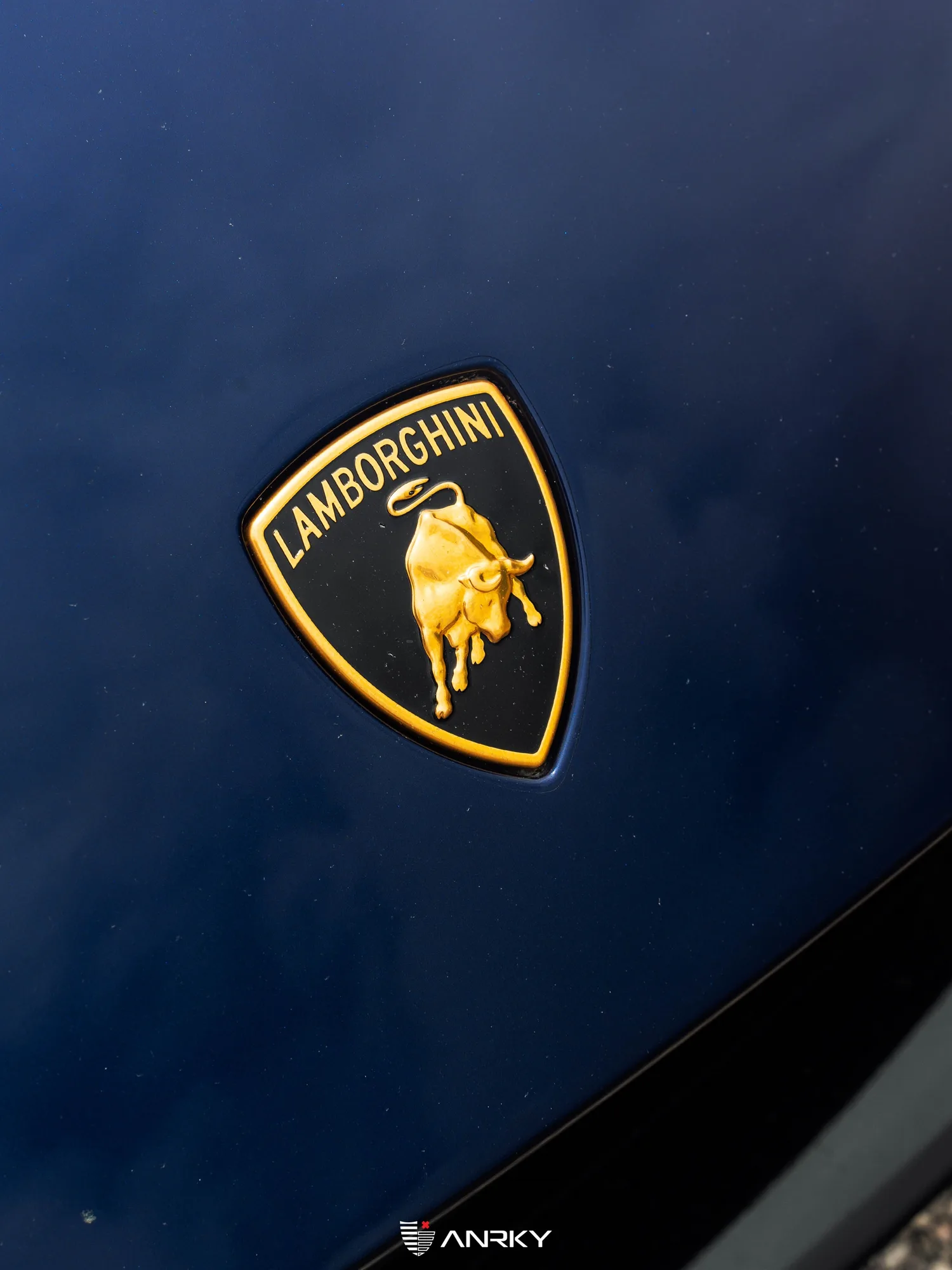 Anrky X|Series S3-X0 on Lamborghini Huracan (2014), photo 5