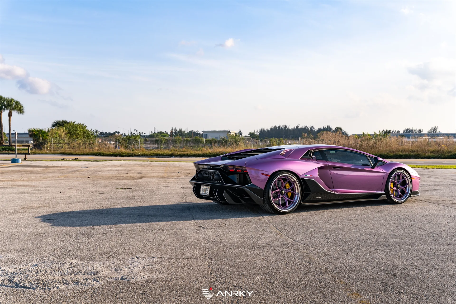 Anrky X|Series S3-X0 on Lamborghini Aventador First Gen.1, photo 9