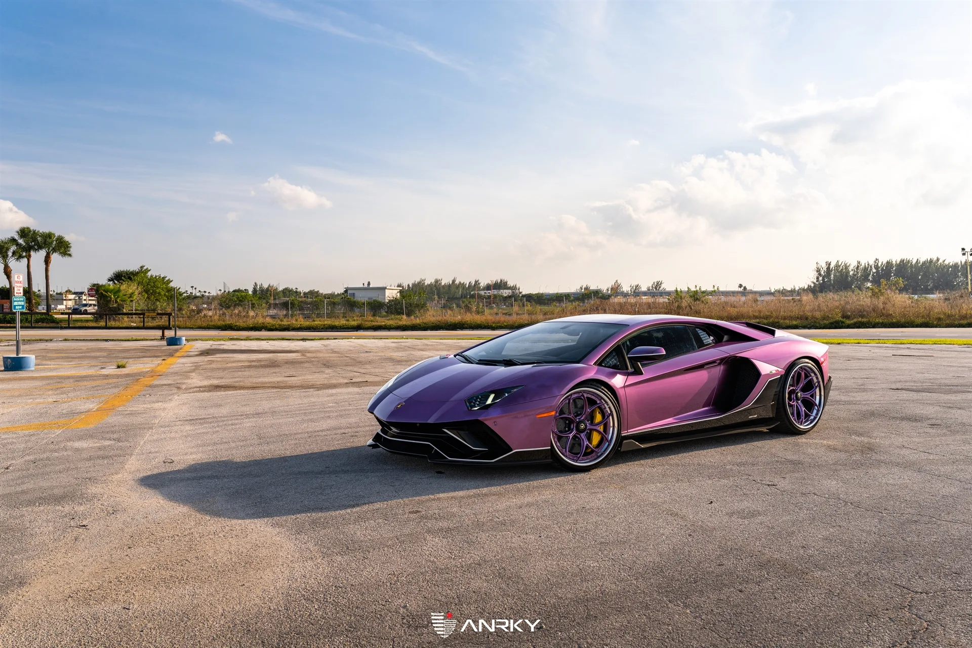 Anrky X|Series S3-X0 on Lamborghini Aventador First Gen.1, photo 3