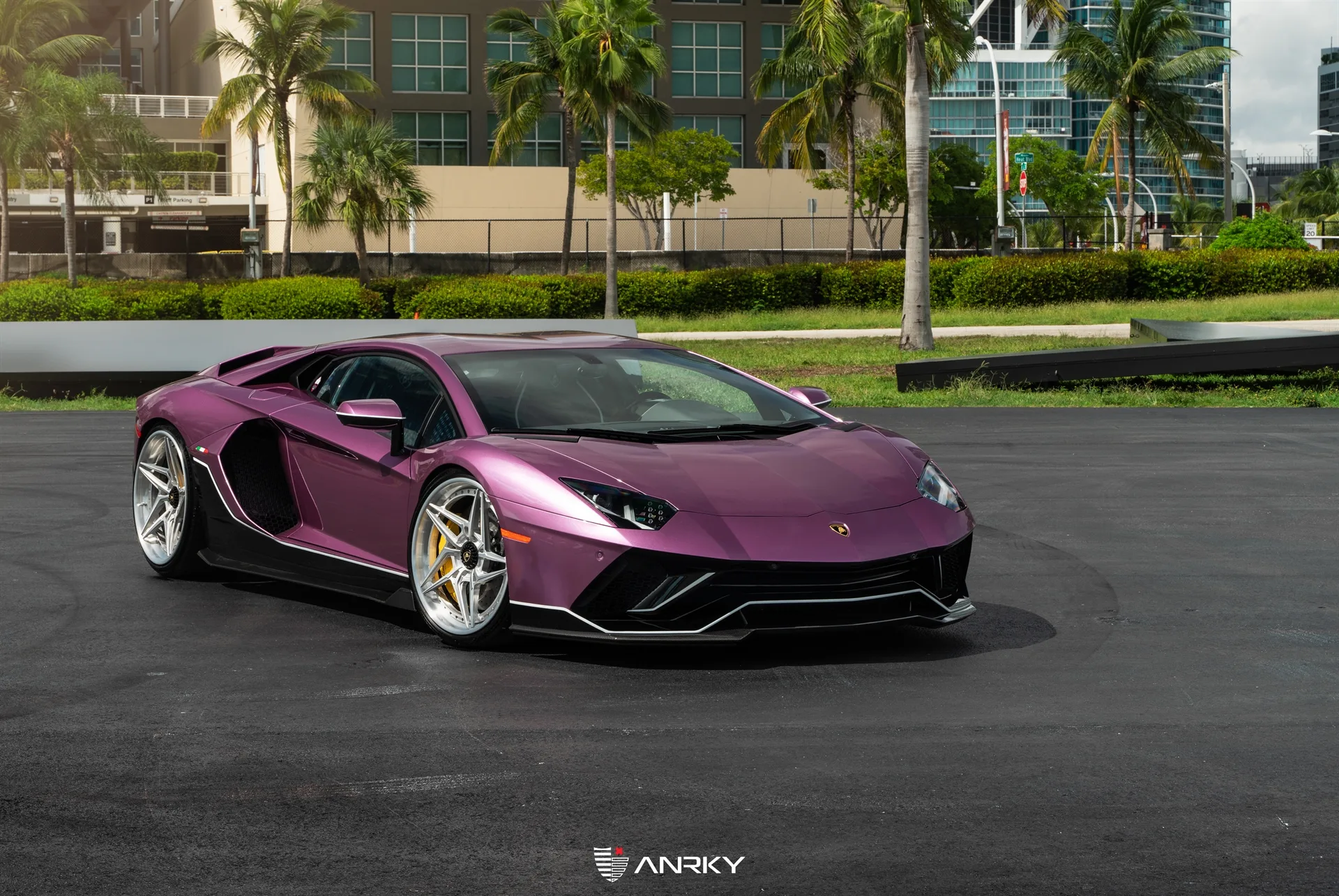 Anrky X|Series S3-X3 on Lamborghini Aventador First Gen.1, photo 2