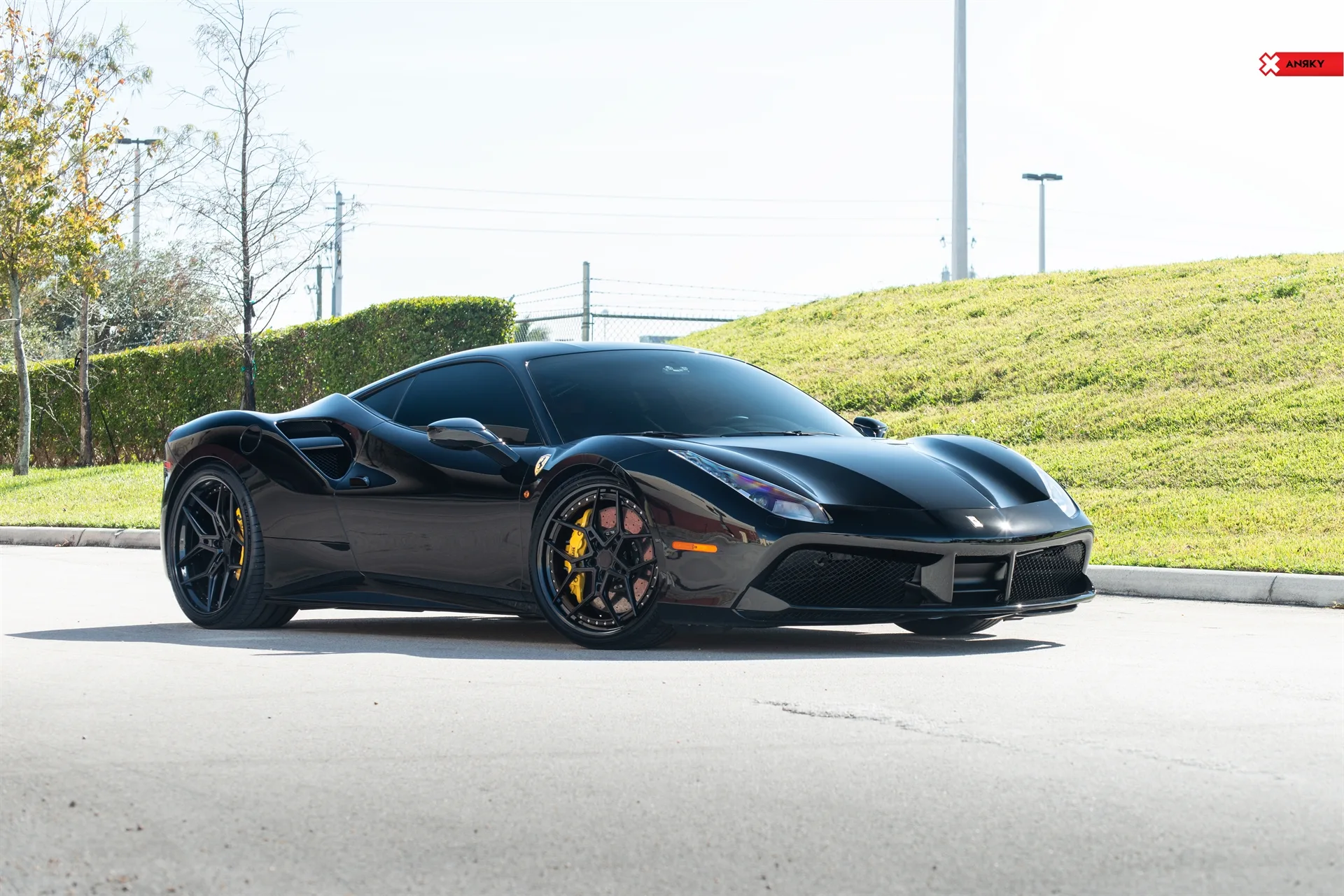 Anrky X|Series S3-X4 on Ferrari 488, photo 4