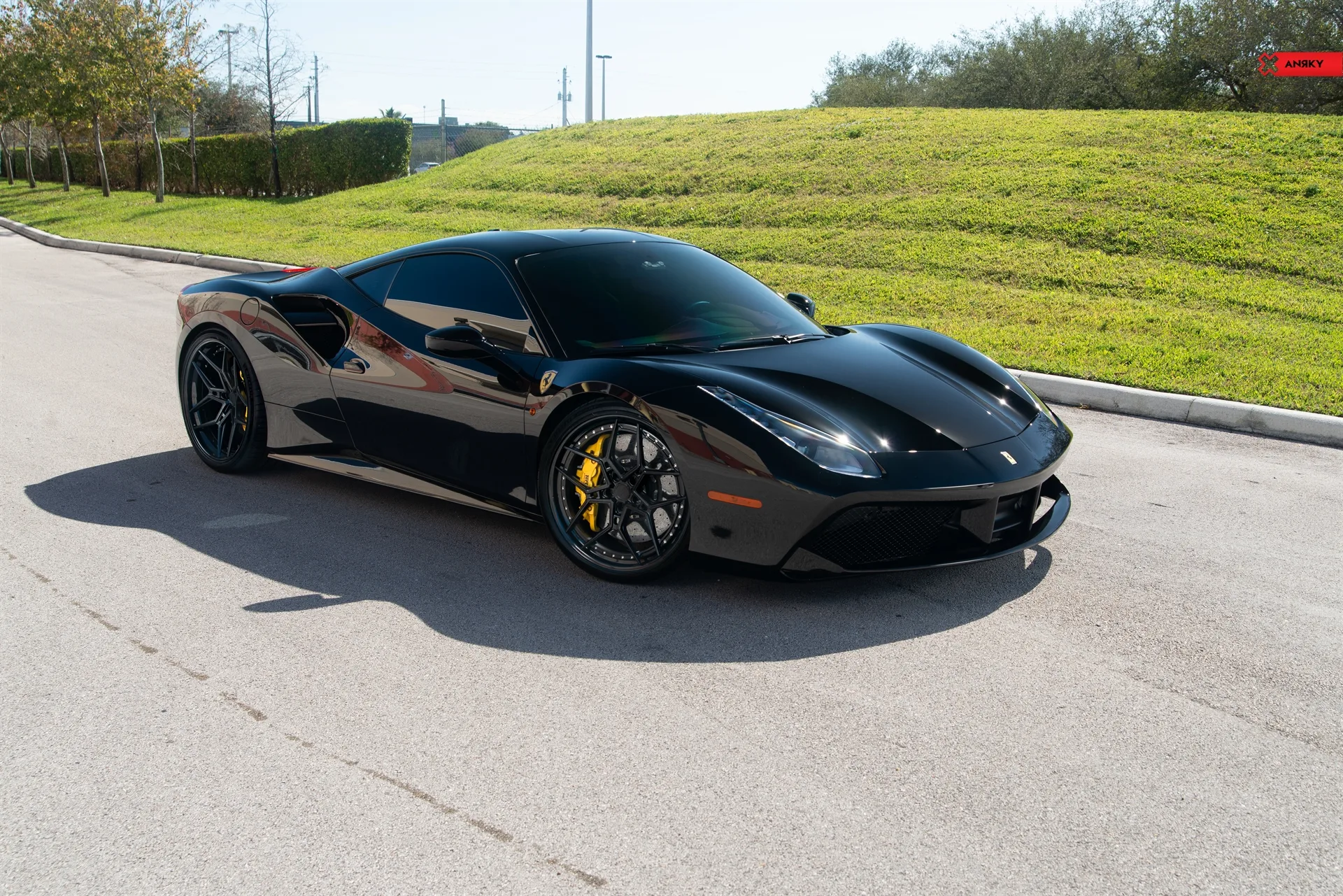 Anrky X|Series S3-X4 on Ferrari 488, photo 6