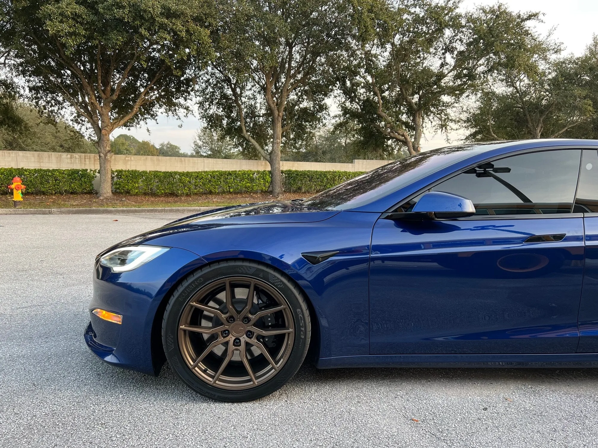 Aodhan AFF1 on Tesla Model S Original (2012-2016), photo 5