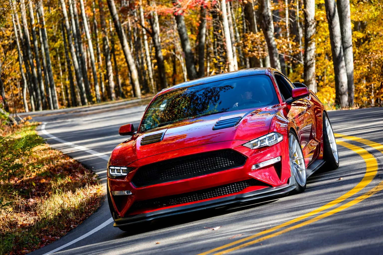 Aodhan AFF1 on Ford Mustang S550.2, photo 2