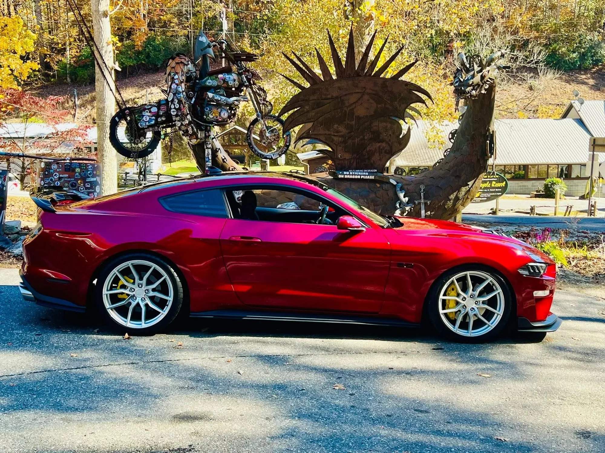 Aodhan AFF1 on Ford Mustang S550.2, photo 3