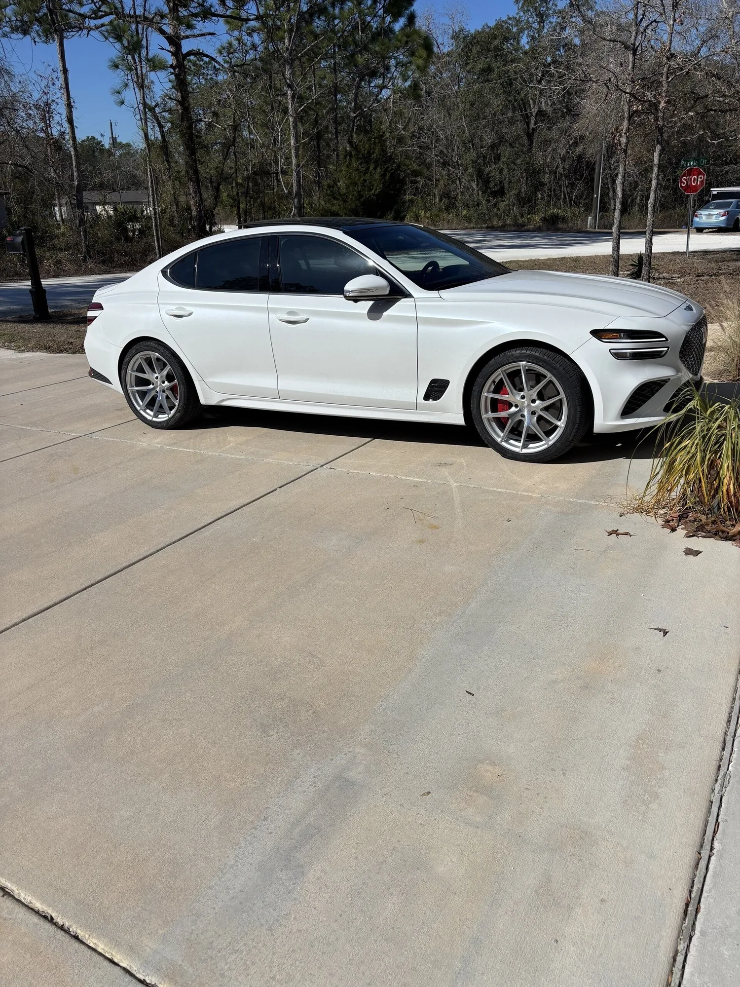 Aodhan AFF7 on Genesis G70 1st gen (IK), photo 2
