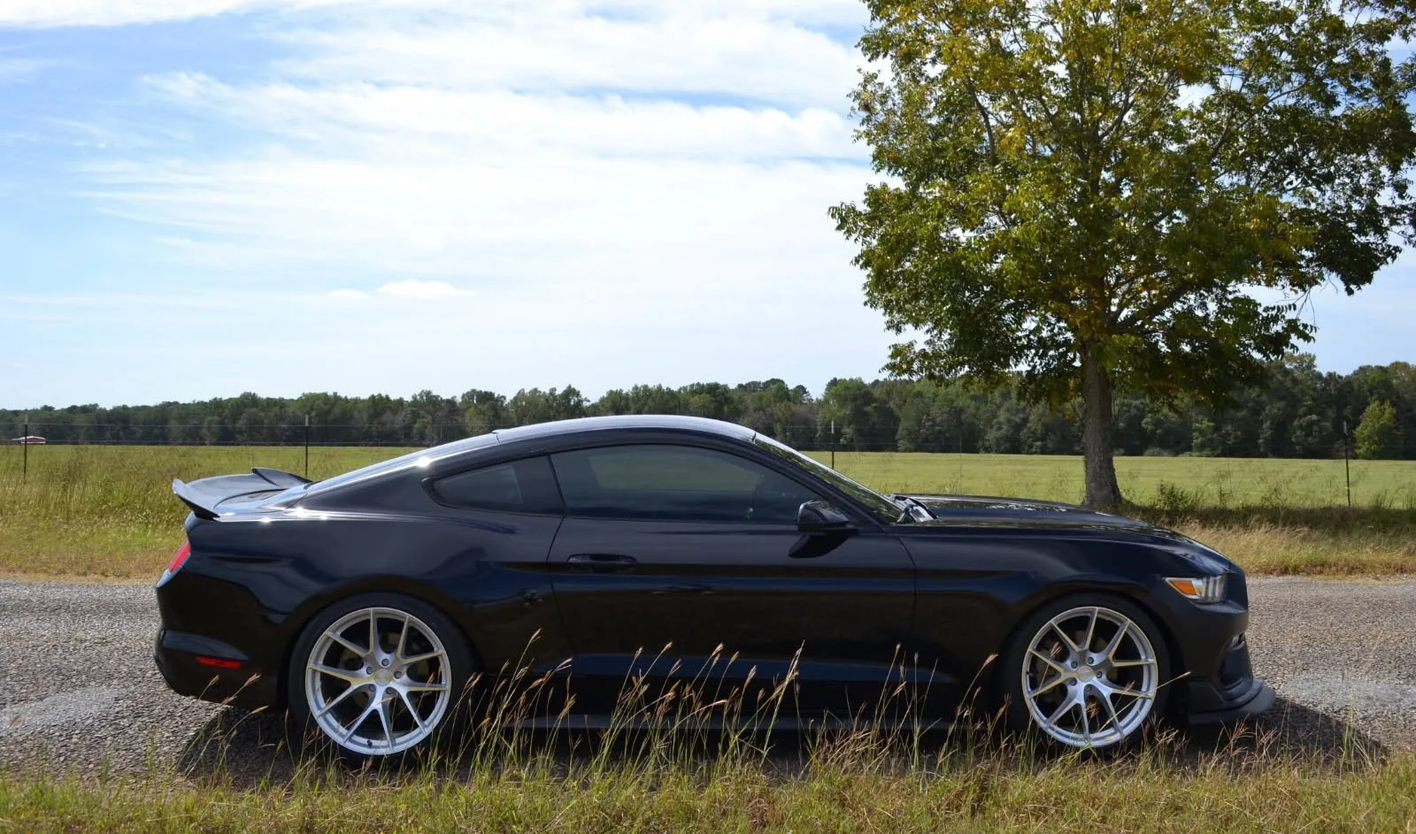 Aodhan AFF7 on Ford Mustang S550.1, photo 4