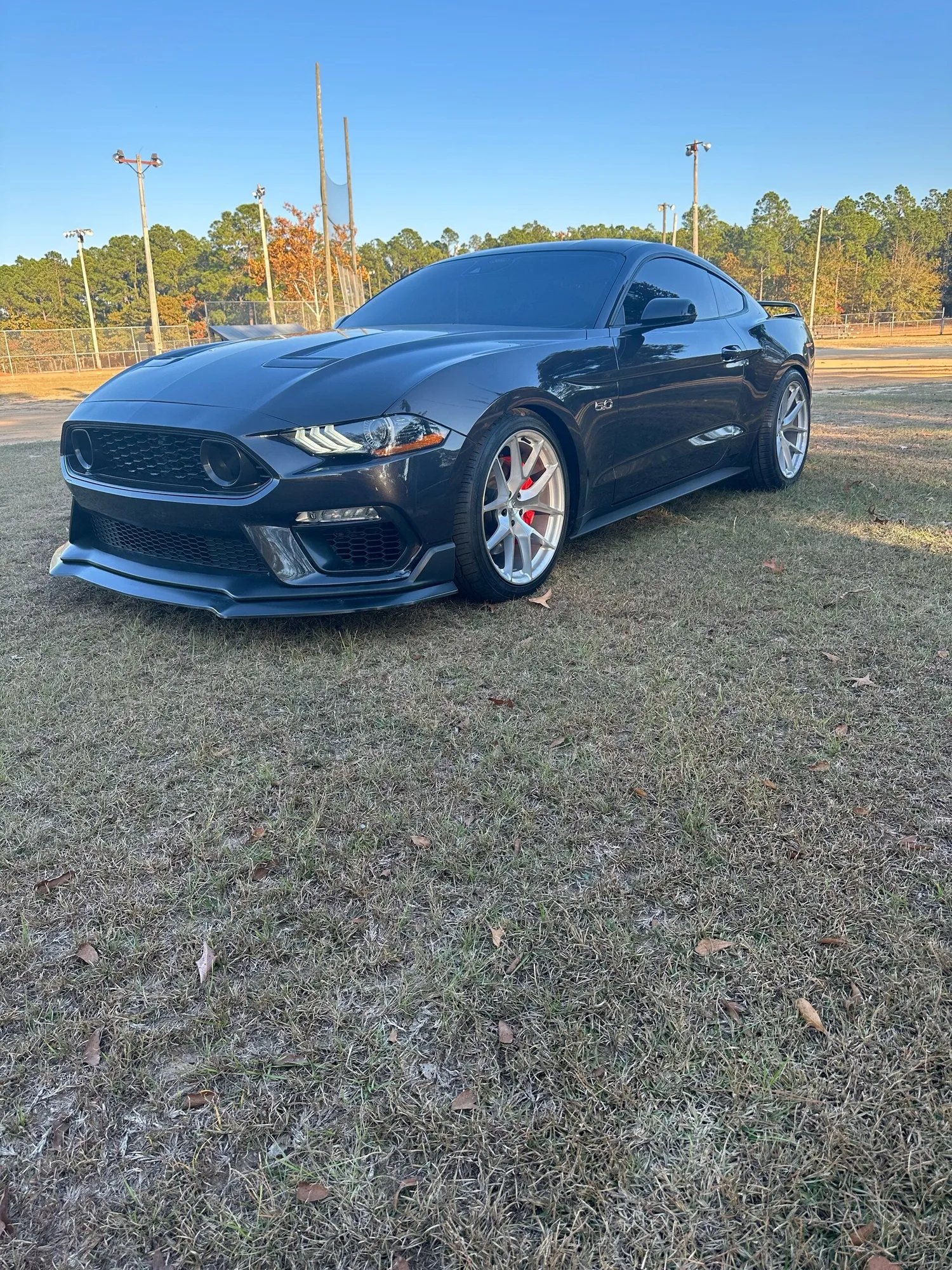 Aodhan AFF7 on Ford Mustang S550.2, photo 12