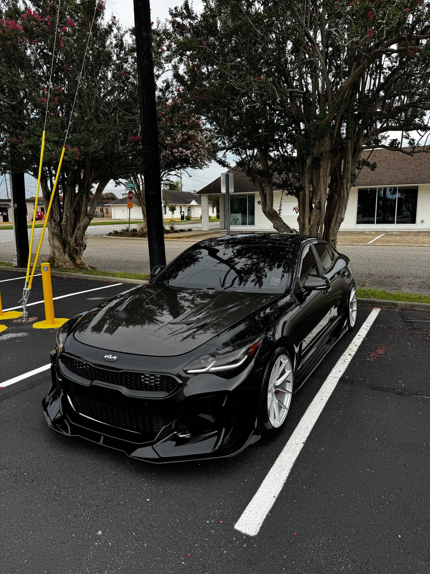 Aodhan AFF7 on Kia Stinger CK (1st gen).1