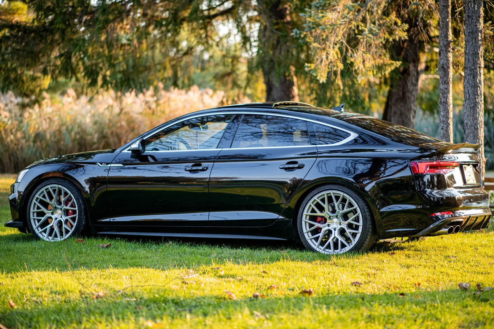 Aodhan AFF9 on Audi S5 F5.1, photo 4