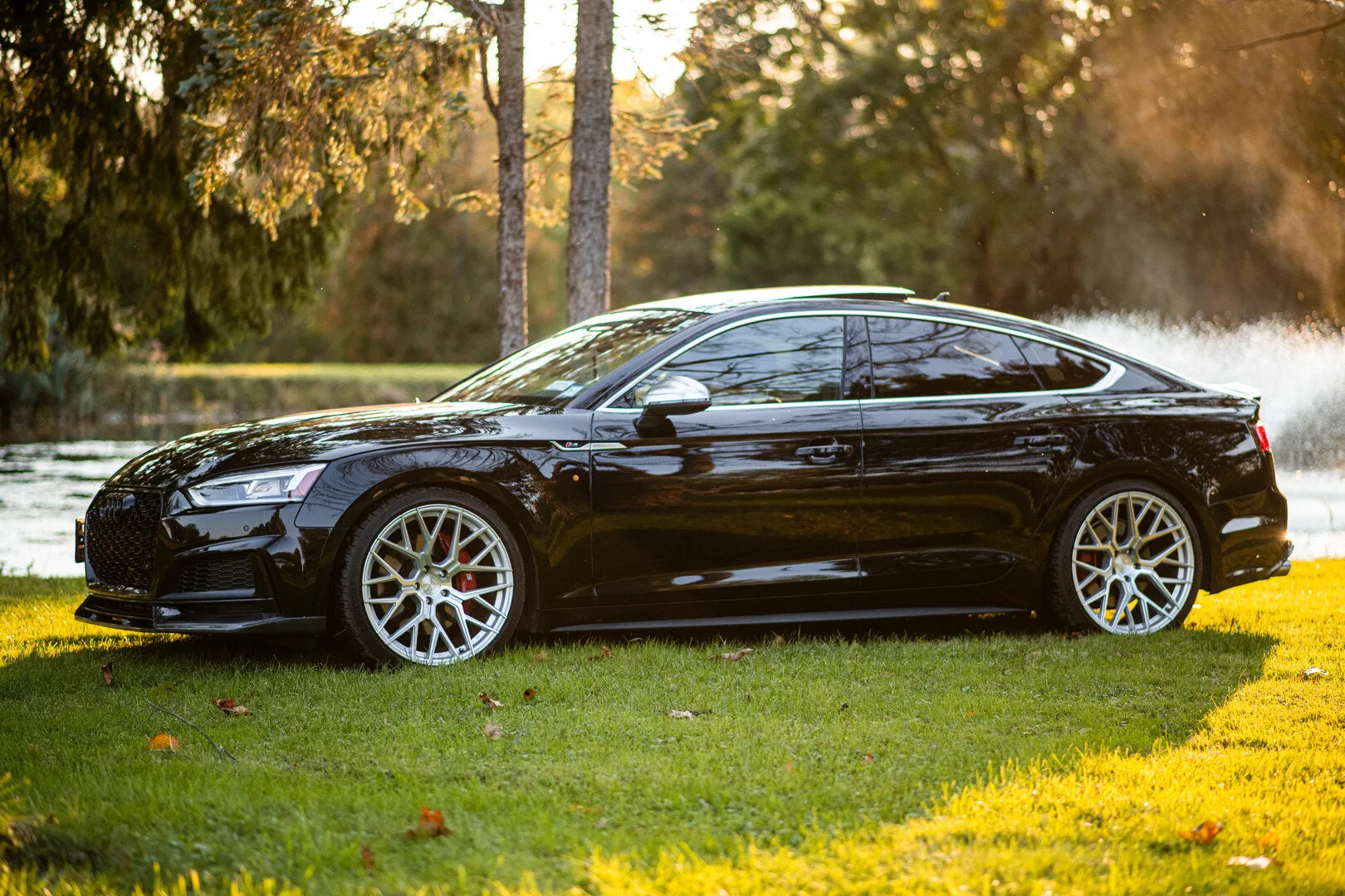 Aodhan AFF9 on Audi S5 F5.1, photo 2