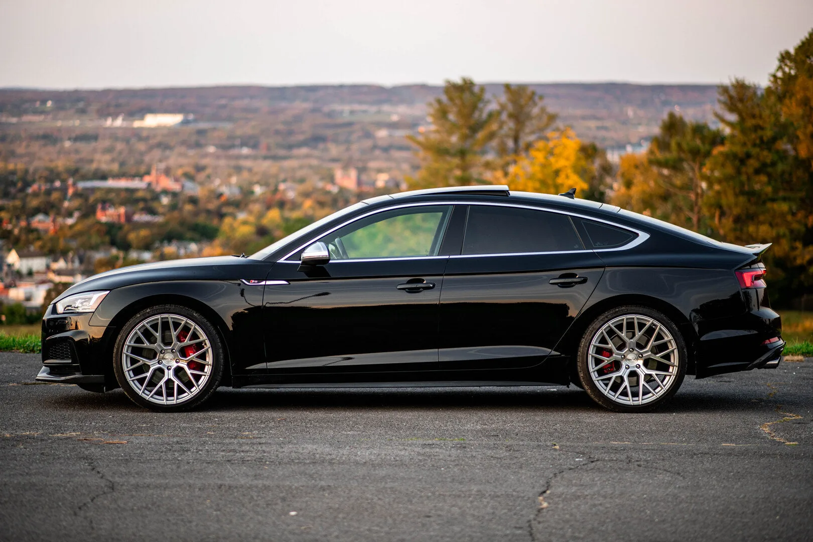 Aodhan AFF9 on Audi S5 F5.1, photo 7