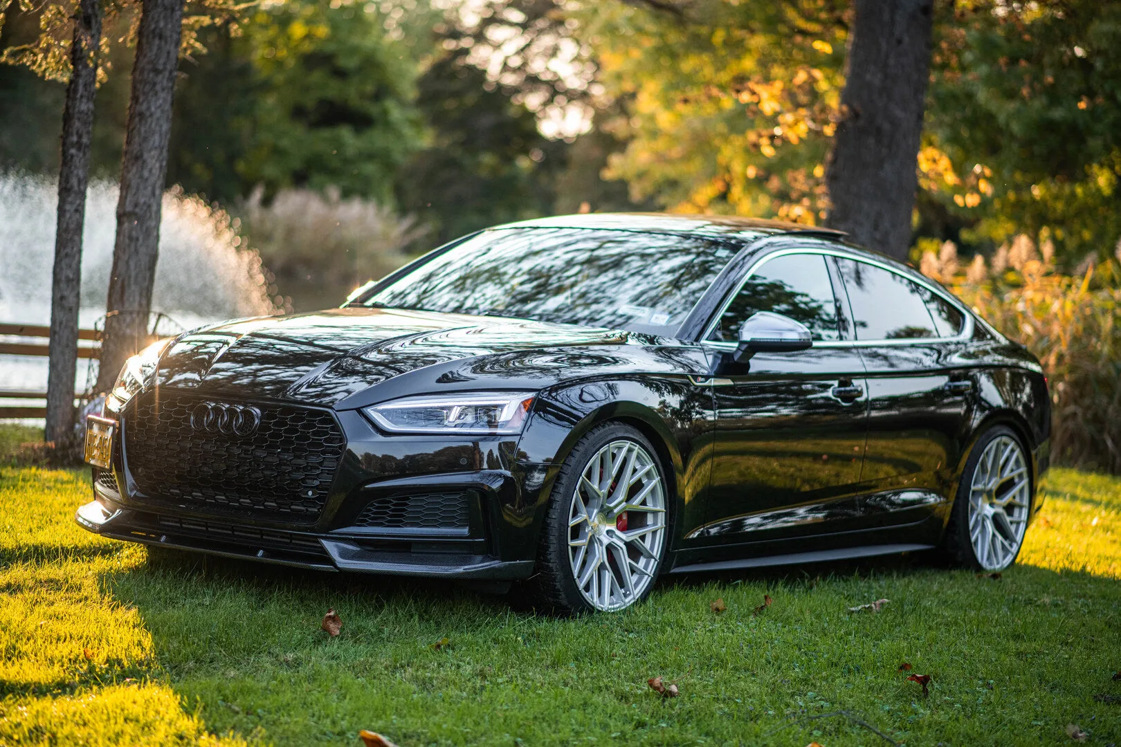 Aodhan AFF9 on Audi S5 F5.1