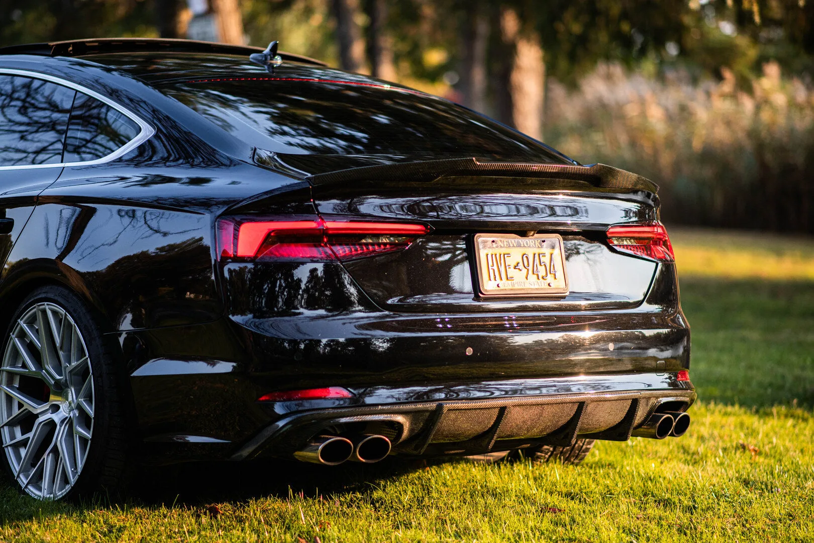 Aodhan AFF9 on Audi S5 F5.1, photo 3