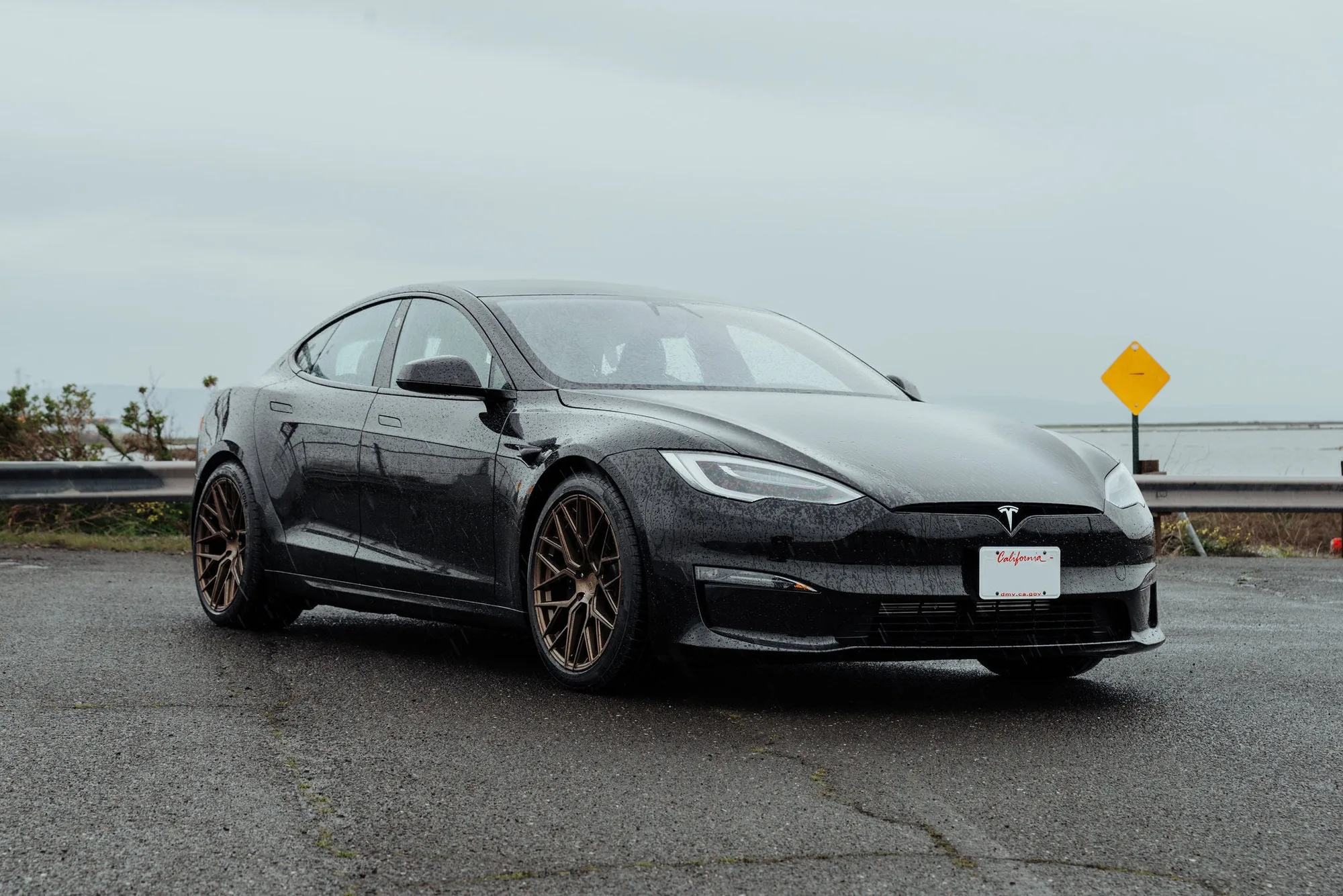 Aodhan AFF9 on Tesla Model S Original (2012-2016), photo 6