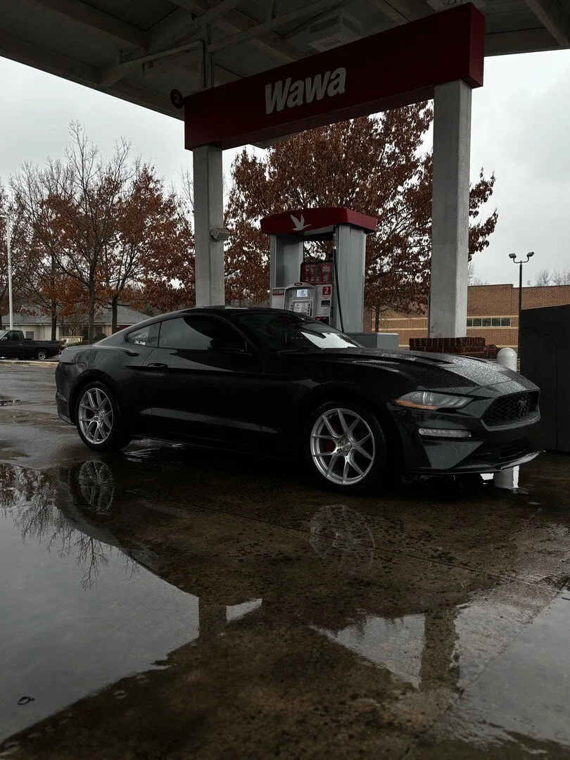 Aodhan AH11 on Ford Mustang S550.2, photo 2