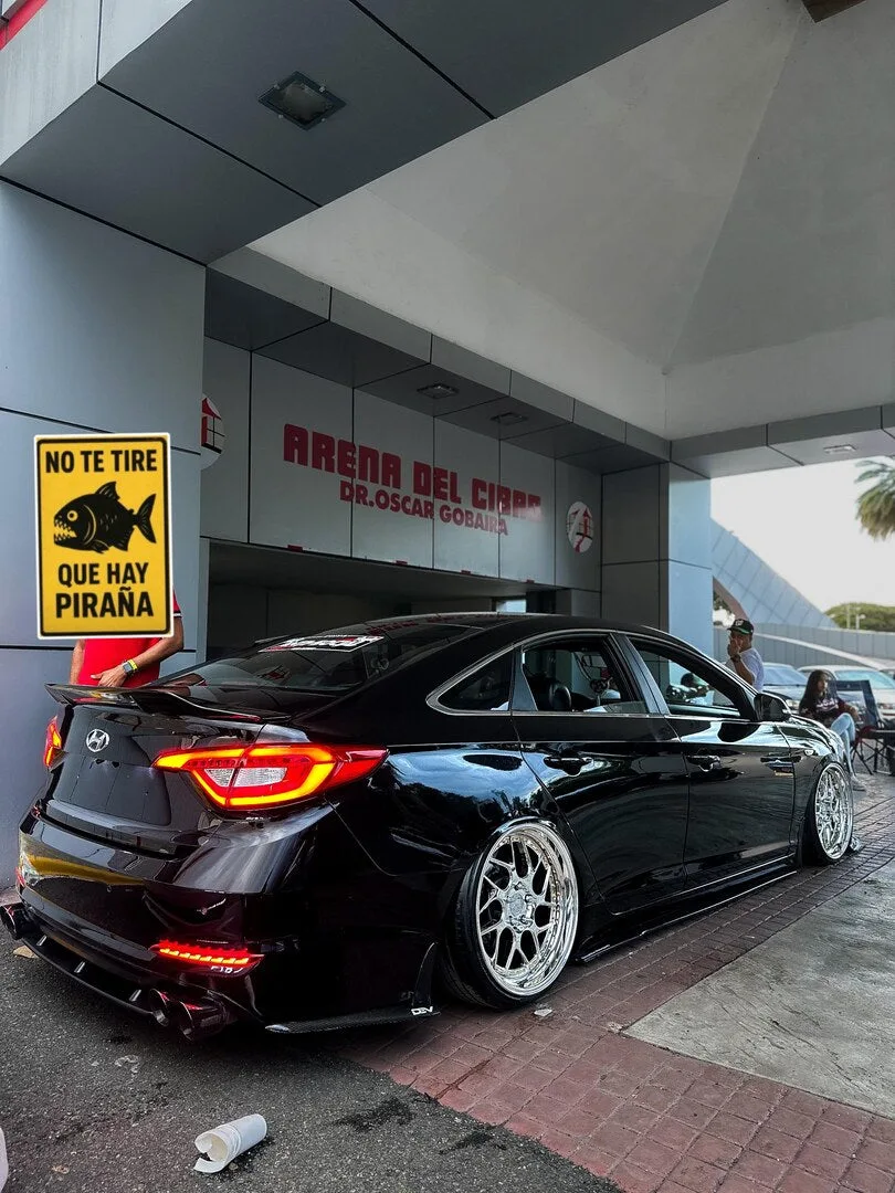 Aodhan DS01 on Hyundai Sonata LF, photo 2