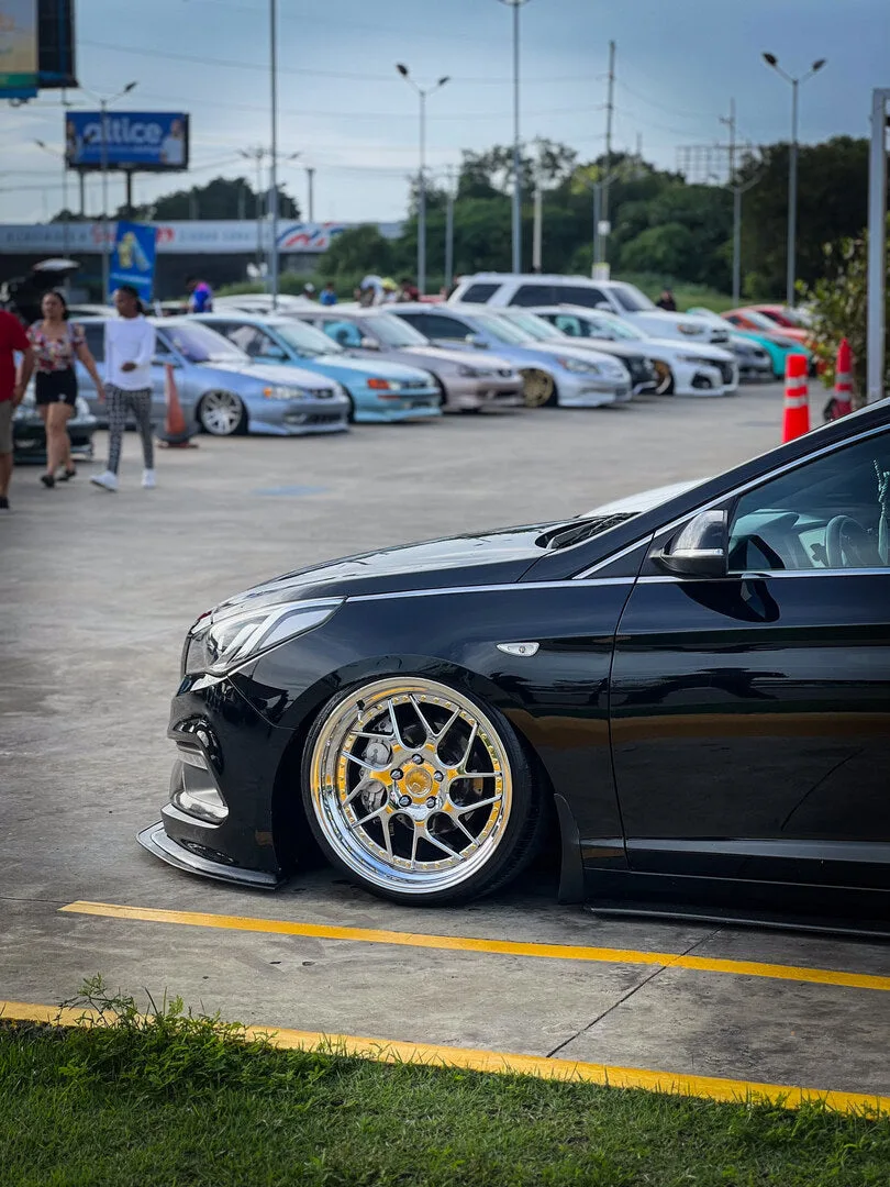 Aodhan DS01 on Hyundai Sonata LF, photo 3