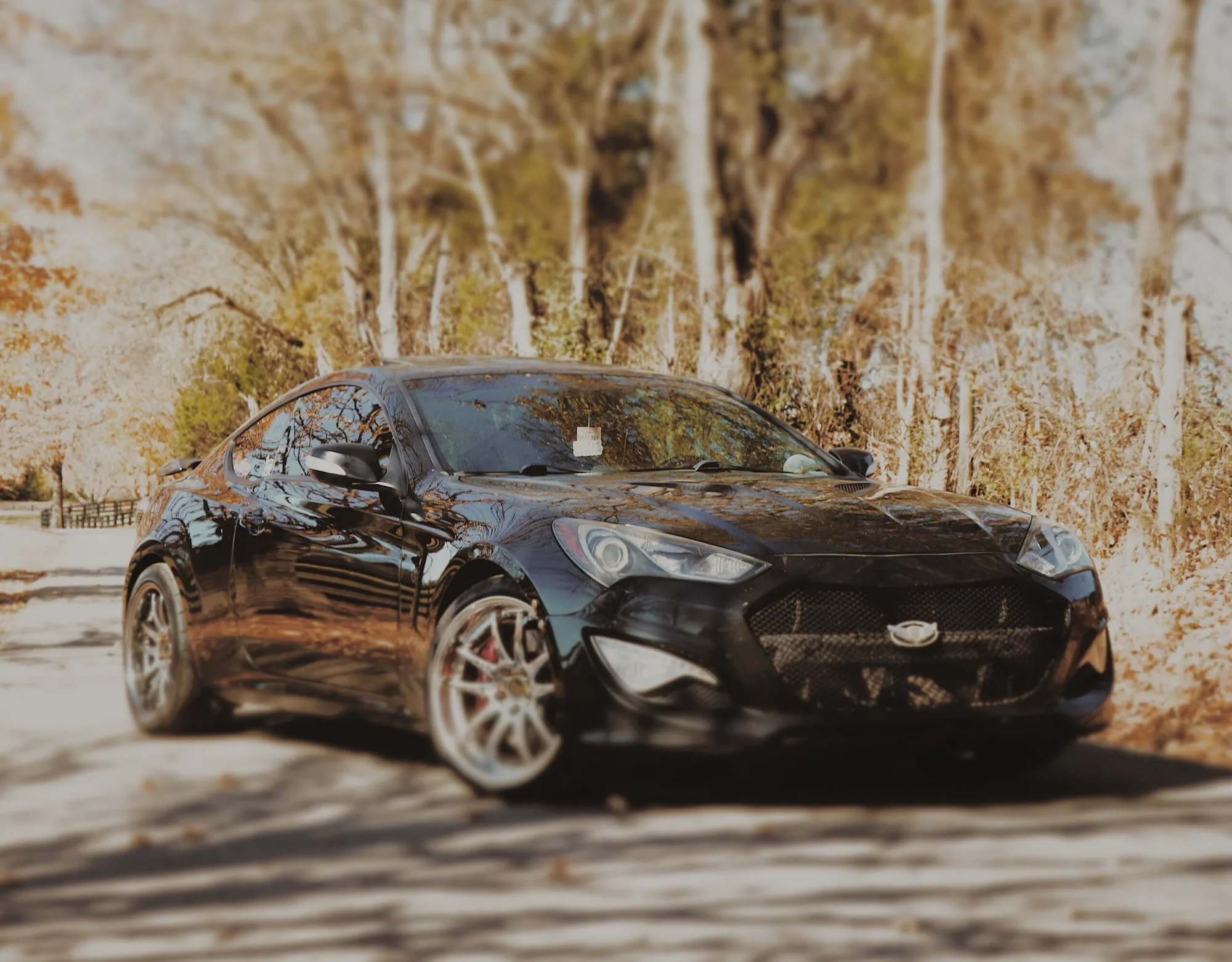 Aodhan DS02 on Hyundai Genesis BH.1, photo 11