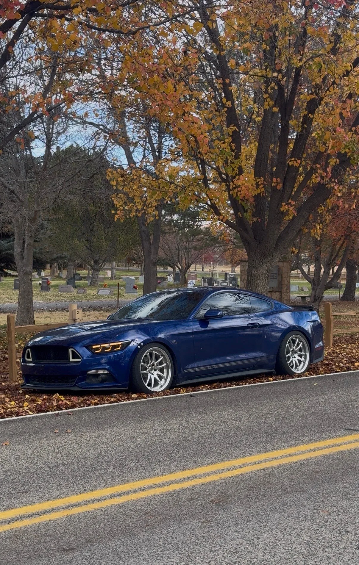 Aodhan DS02 on Ford Mustang S550.1