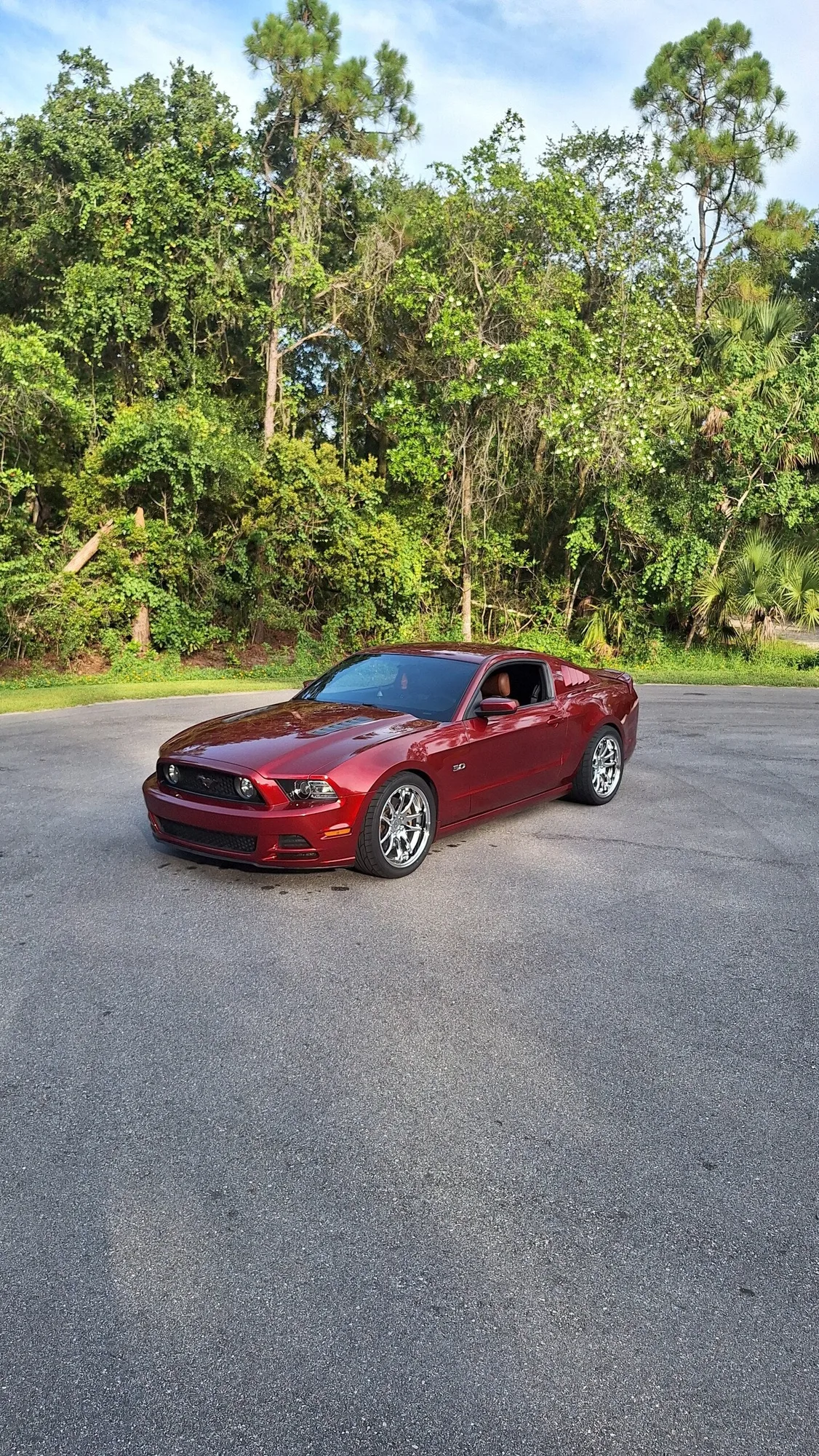 Aodhan DS02 on Ford Mustang S197.2, photo 3