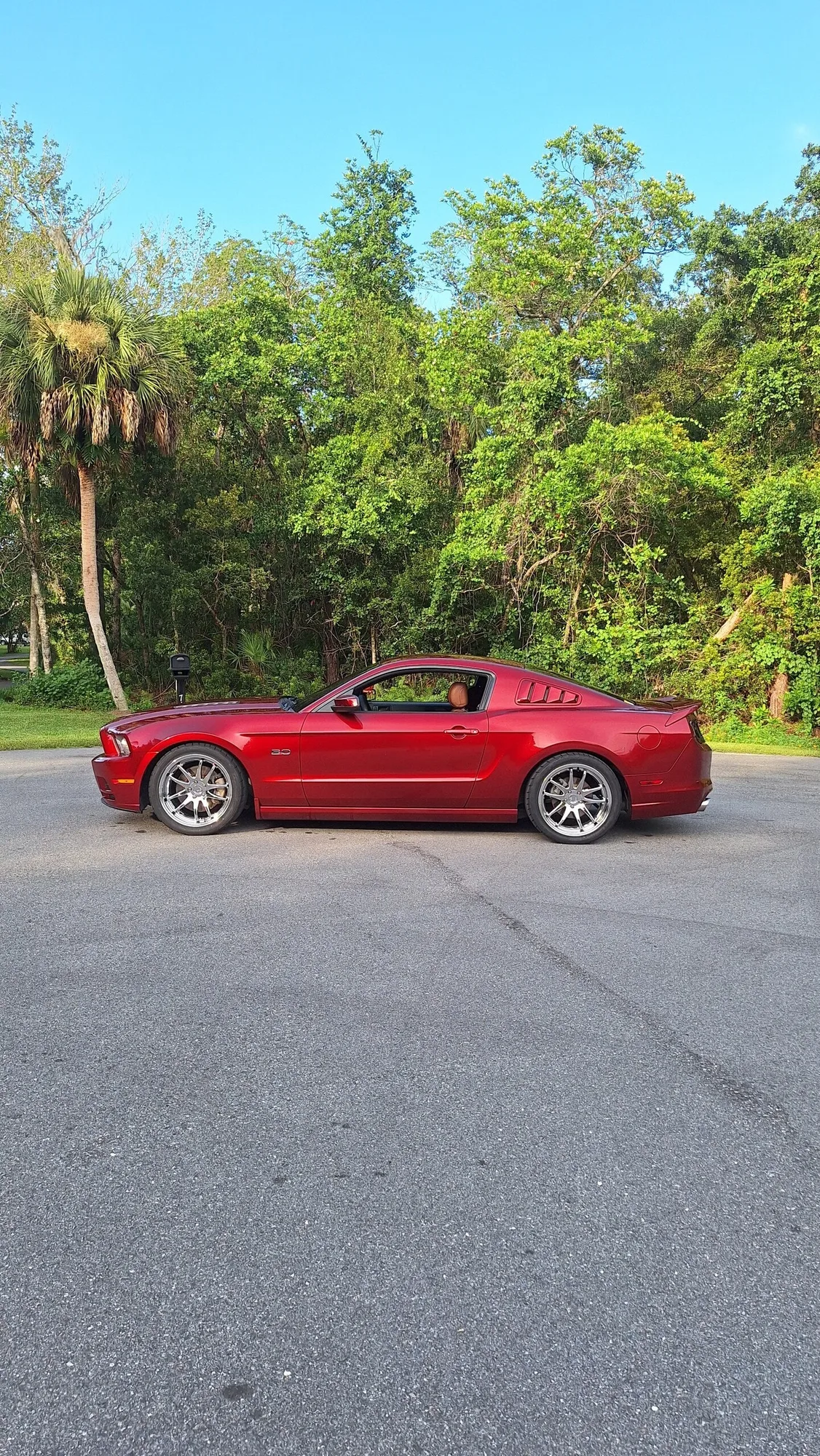 Aodhan DS02 on Ford Mustang S197.2, photo 2
