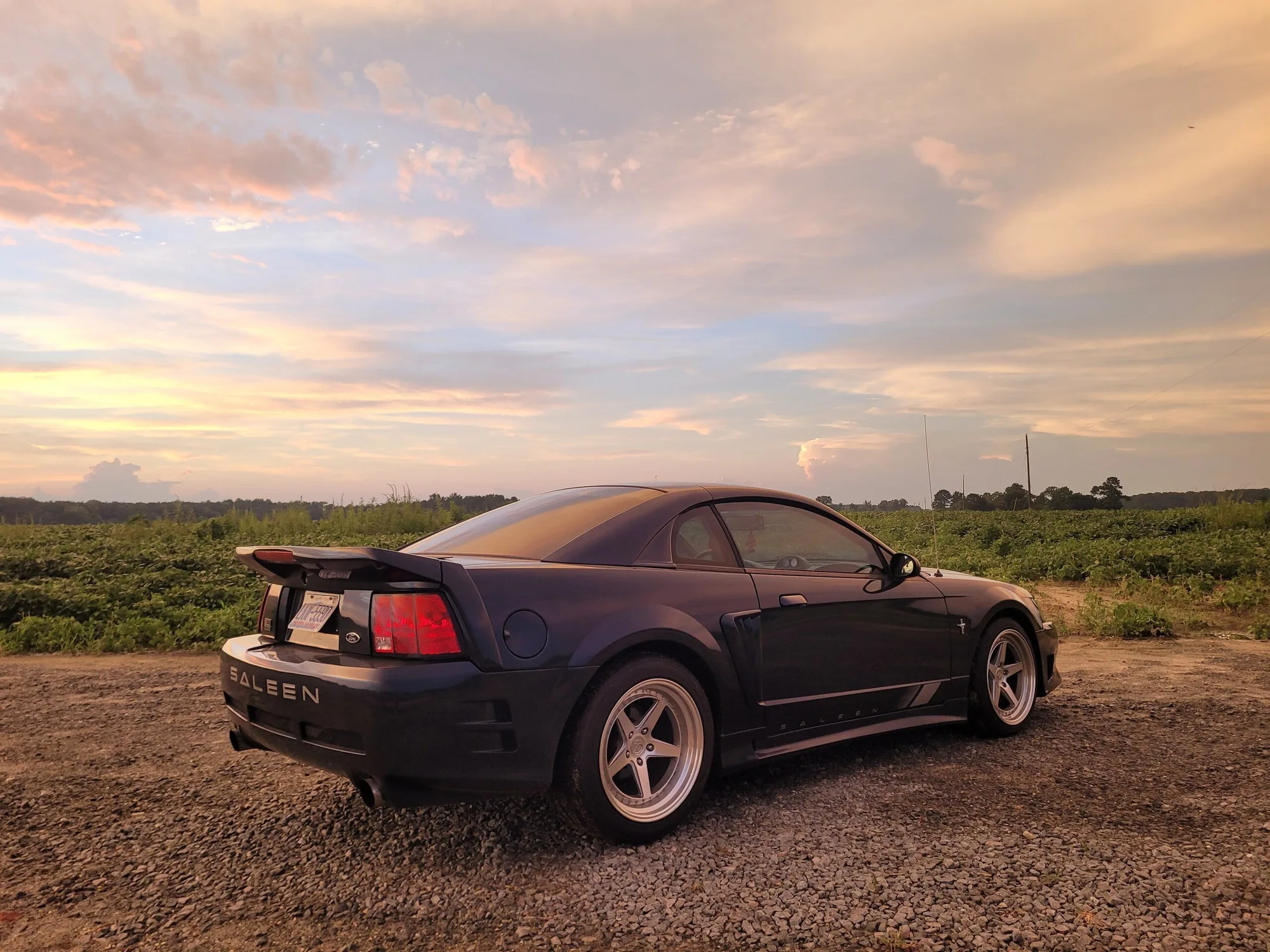 Aodhan DS05 on Ford Mustang SN95.2, photo 12