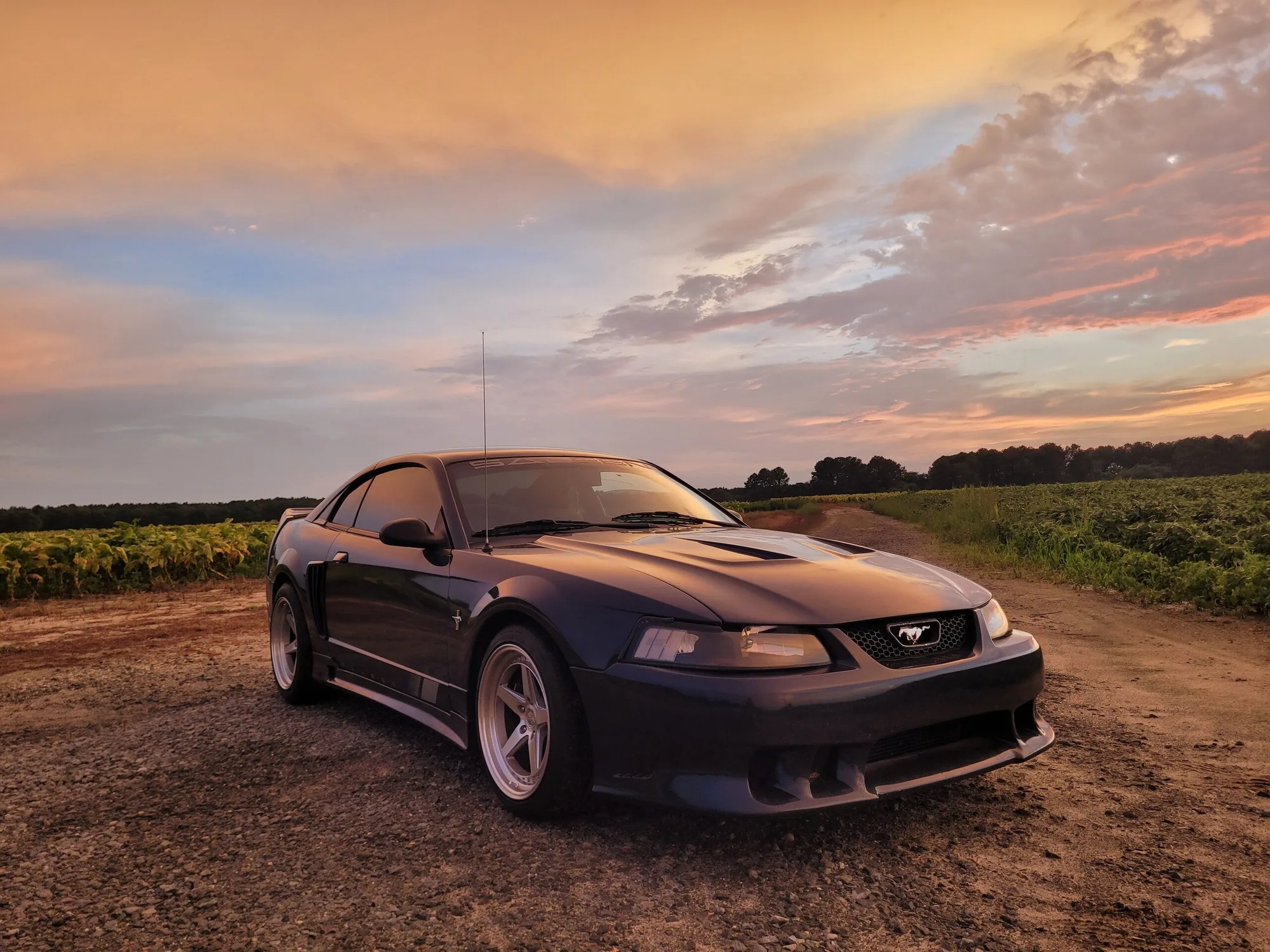 Aodhan DS05 on Ford Mustang SN95.2, photo 10