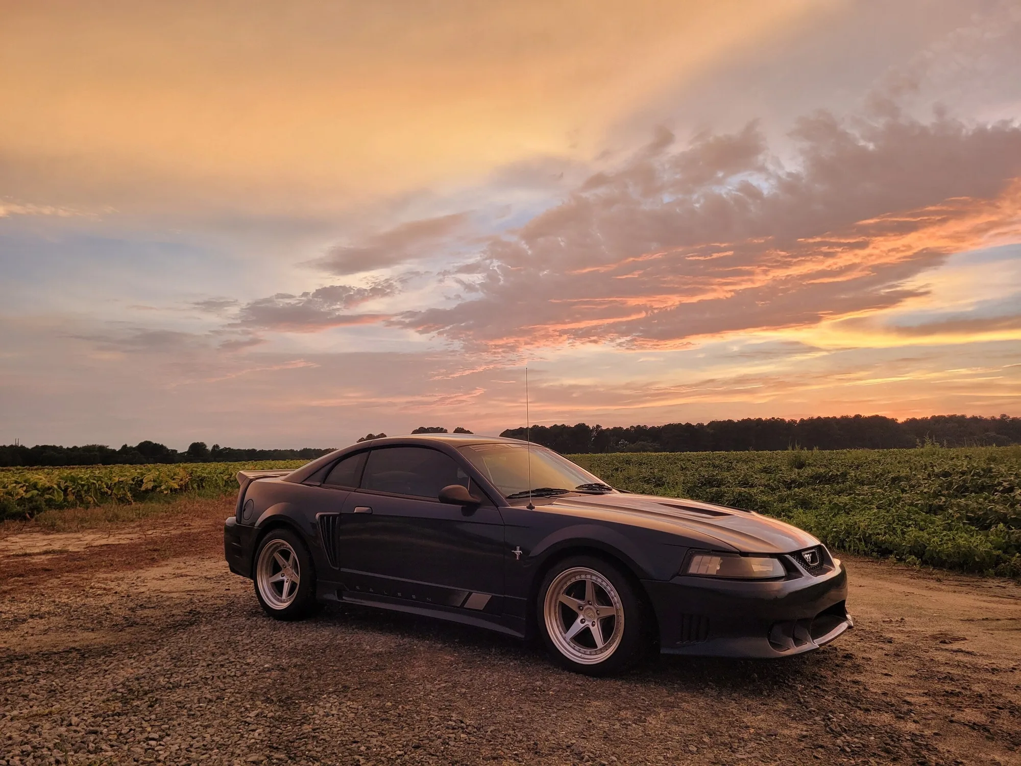 Aodhan DS05 on Ford Mustang SN95.2, photo 11