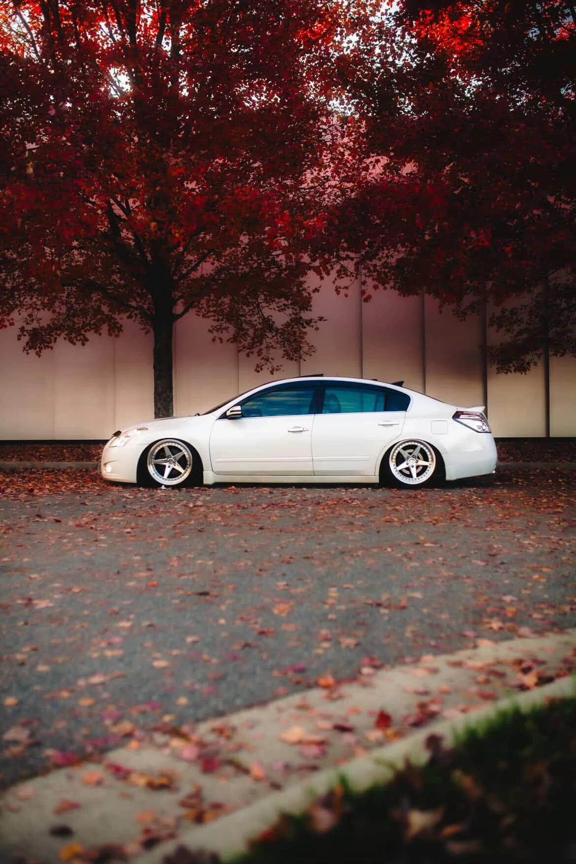 Aodhan DS05 on Nissan Altima L32, photo 2