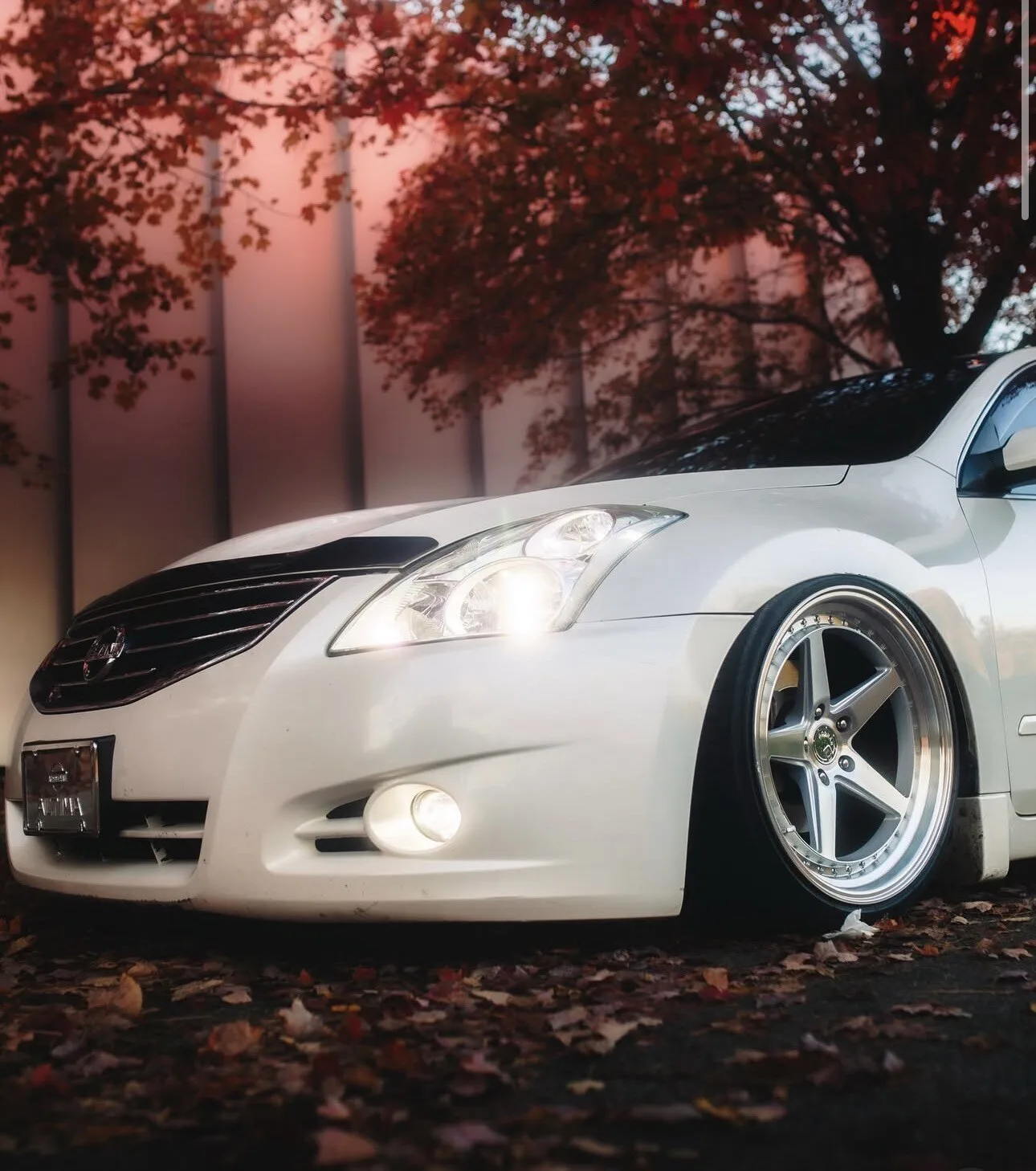Aodhan DS05 on Nissan Altima L32, photo 3