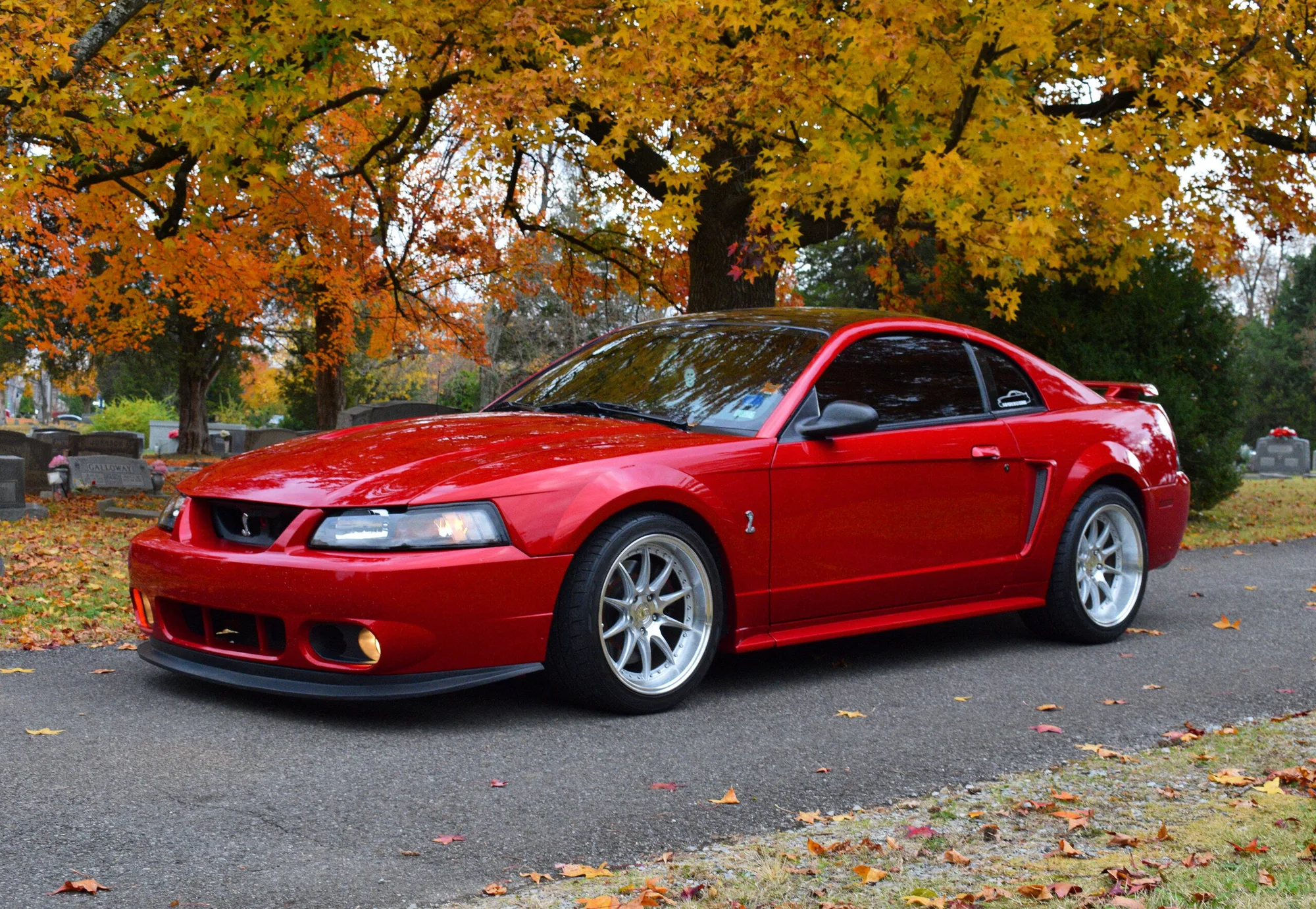 Aodhan DS07 on Ford Mustang SN95.2, photo 2