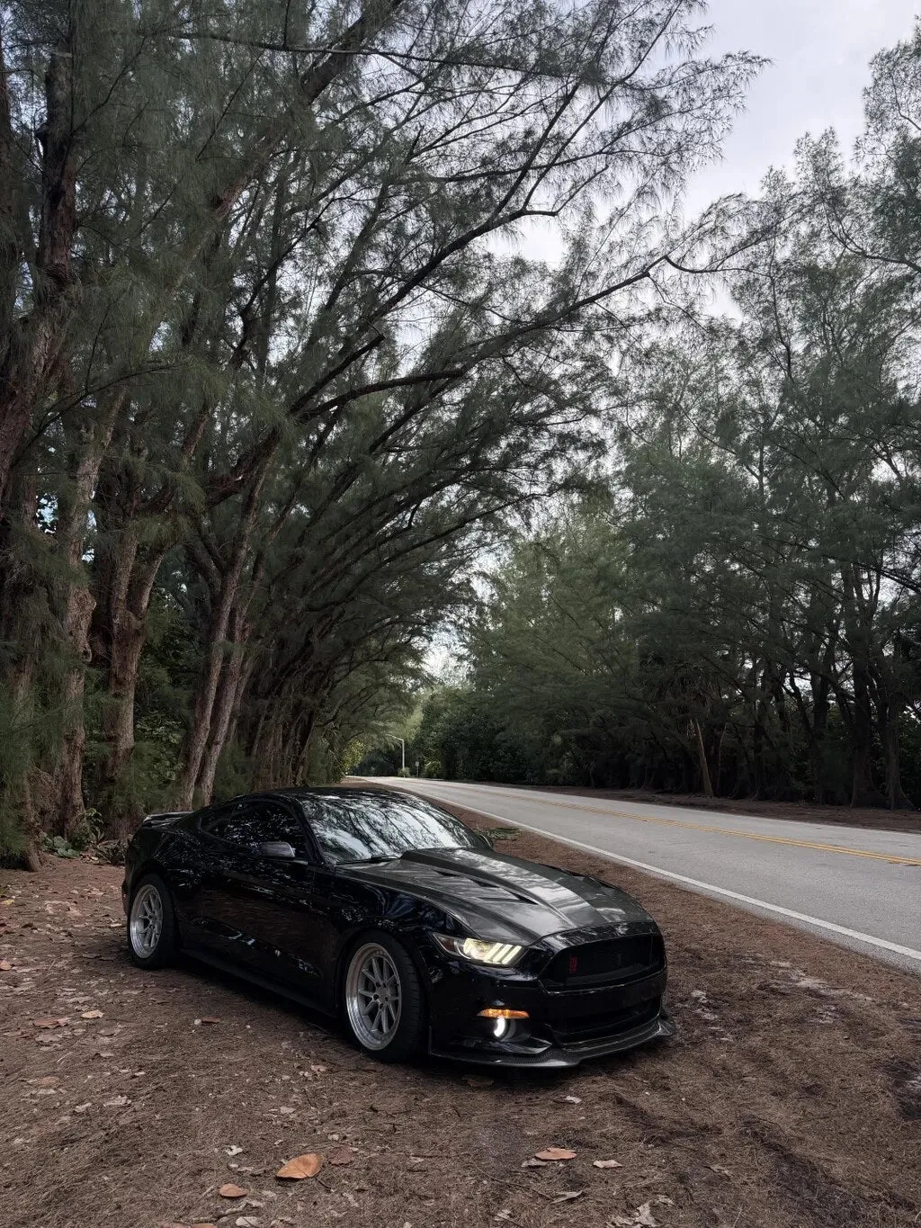 Aodhan DS08 on Ford Mustang S550.1, photo 4