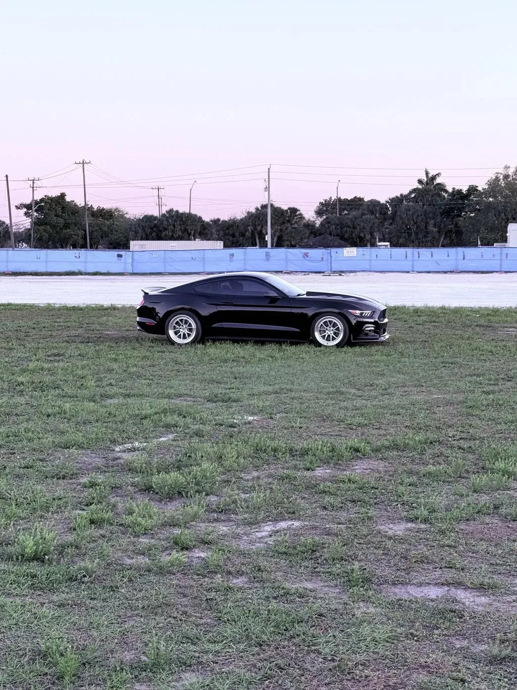 Aodhan DS08 on Ford Mustang S550.1, photo 2