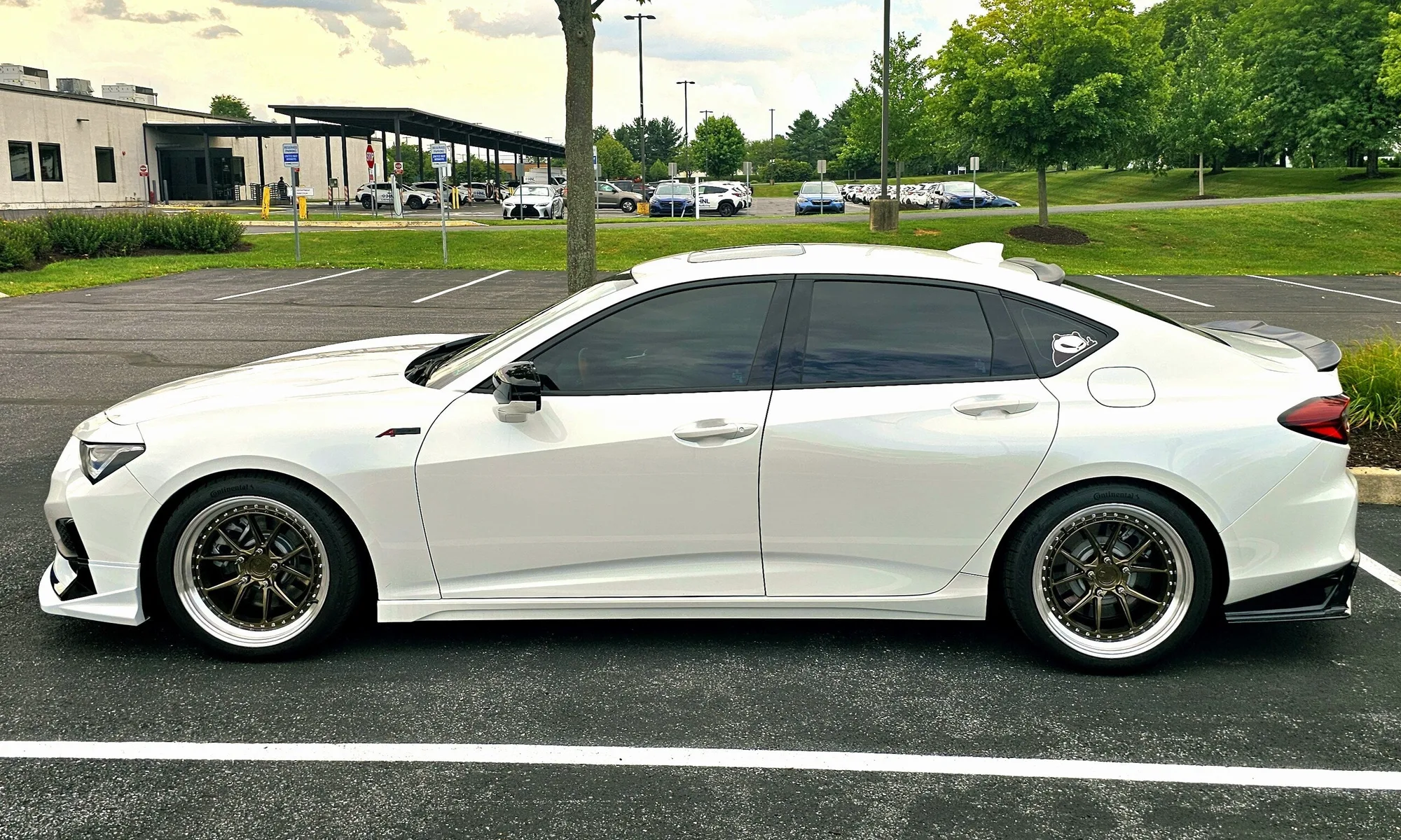 Aodhan DS08 on Acura TLX II (UB7), photo 11