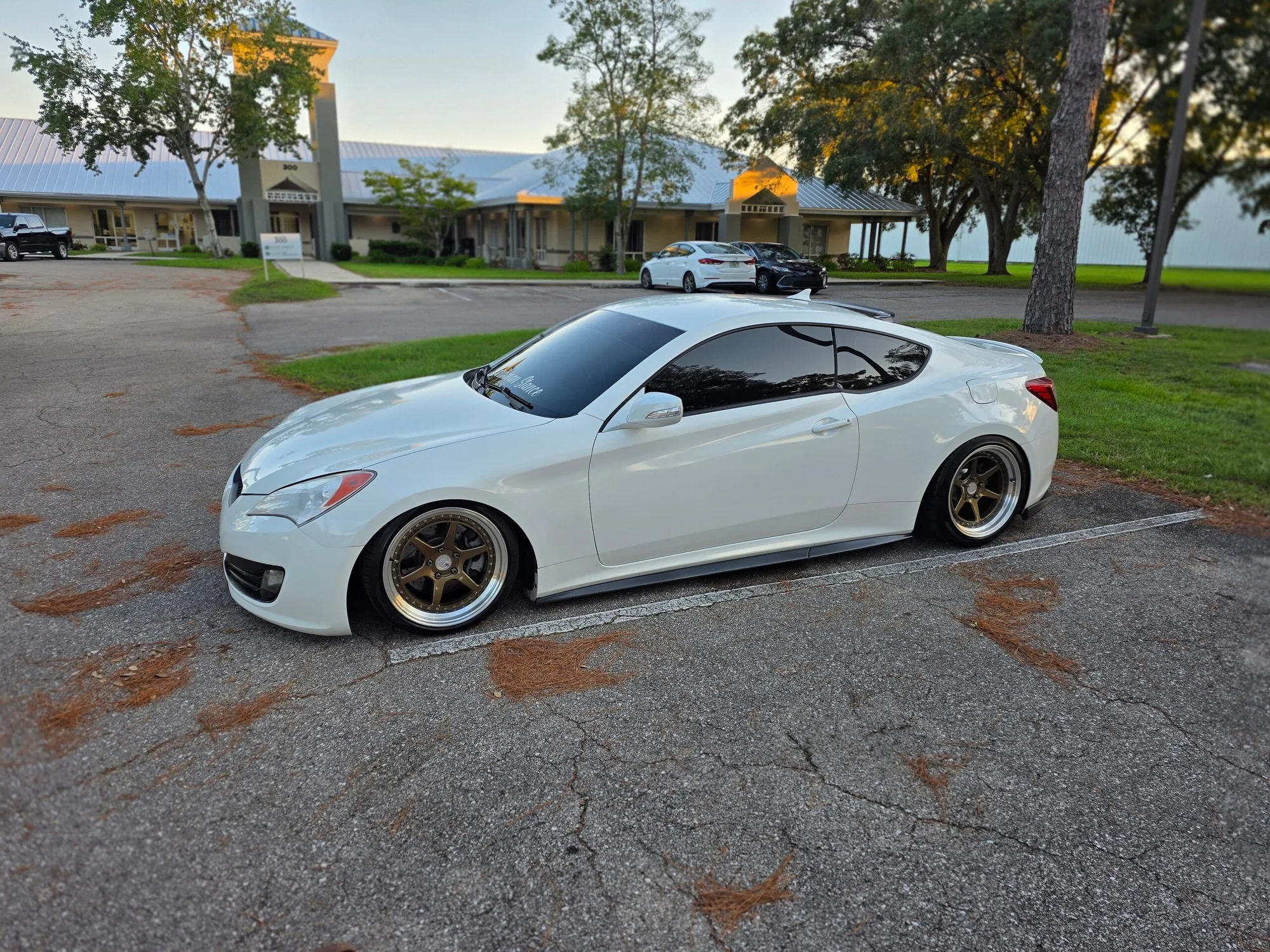 Aodhan DS09 on Hyundai Genesis BH.1, photo 2