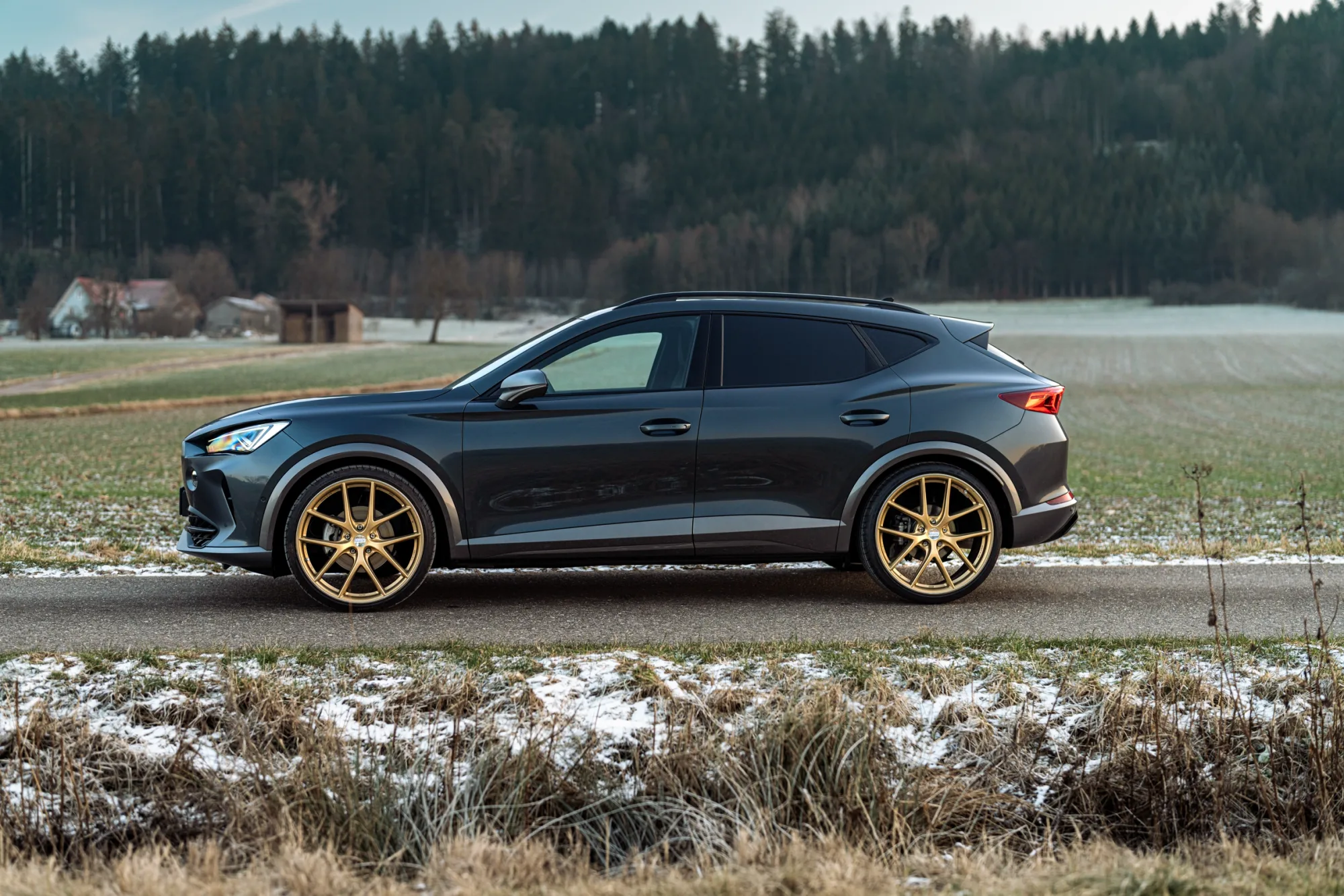 BBS Motorsport CI-R Unlimited on Cupra Formentor 1st gen (KM), photo 4