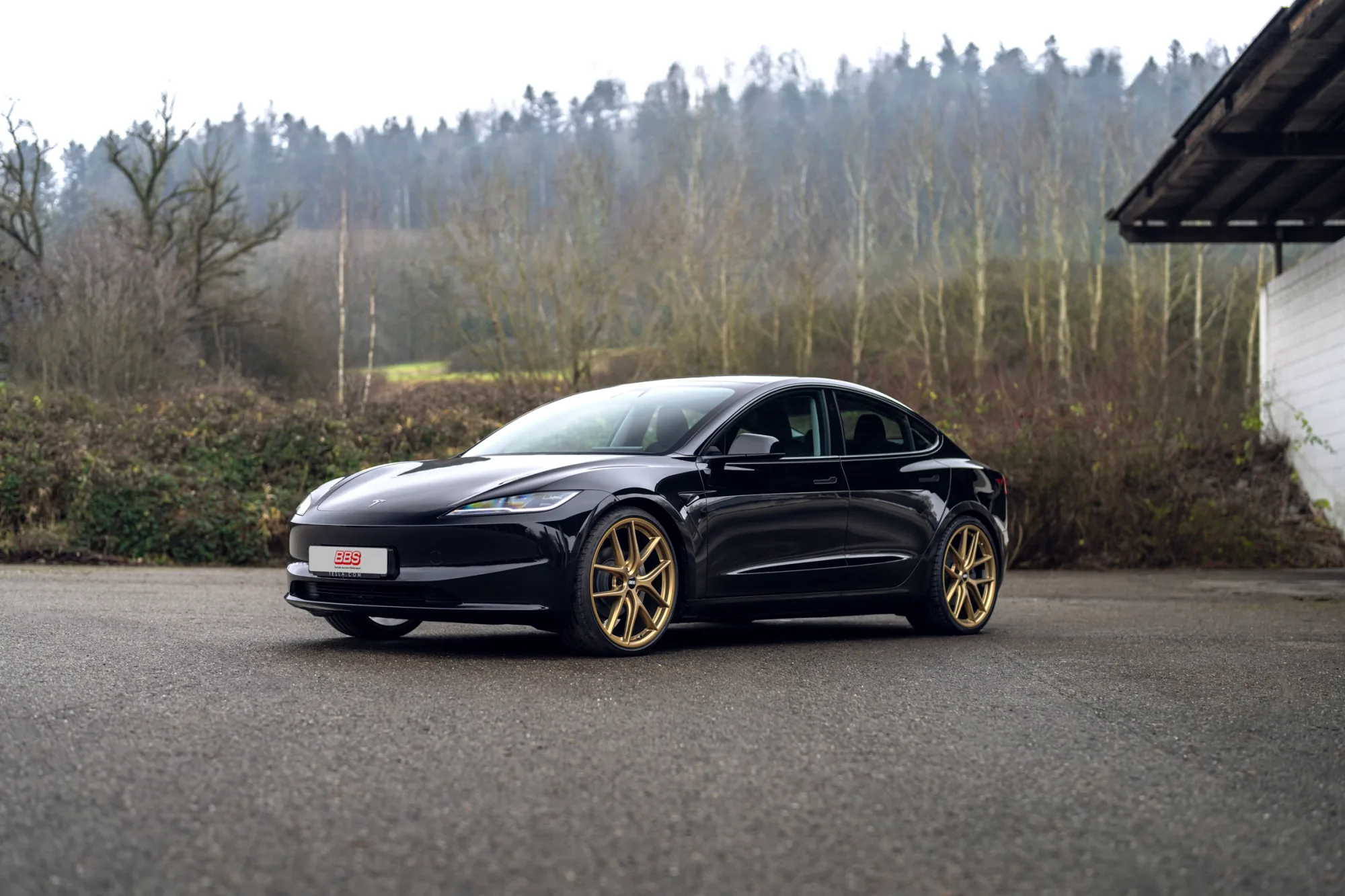 BBS Motorsport CI-R Unlimited on Tesla Model 3 Original (2017-2023), photo 6