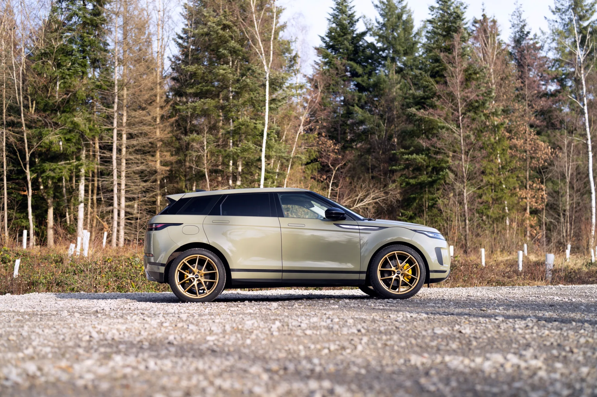 BBS Motorsport CI-R Unlimited on Land Rover Range Rover Evoque L551, photo 5