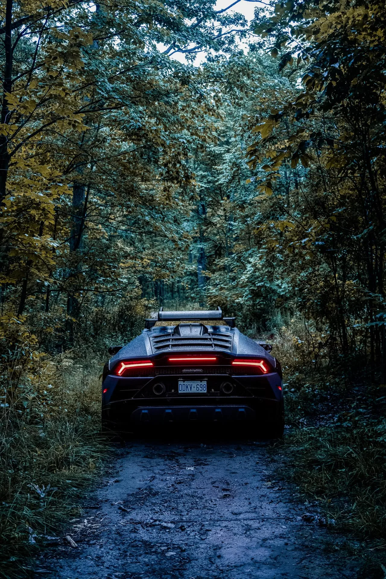 Brixton Forged BX02-M on Lamborghini Huracan (2014), photo 6