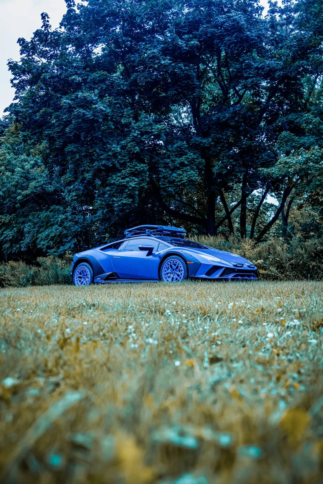 Brixton Forged BX02-M on Lamborghini Huracan (2014), photo 9