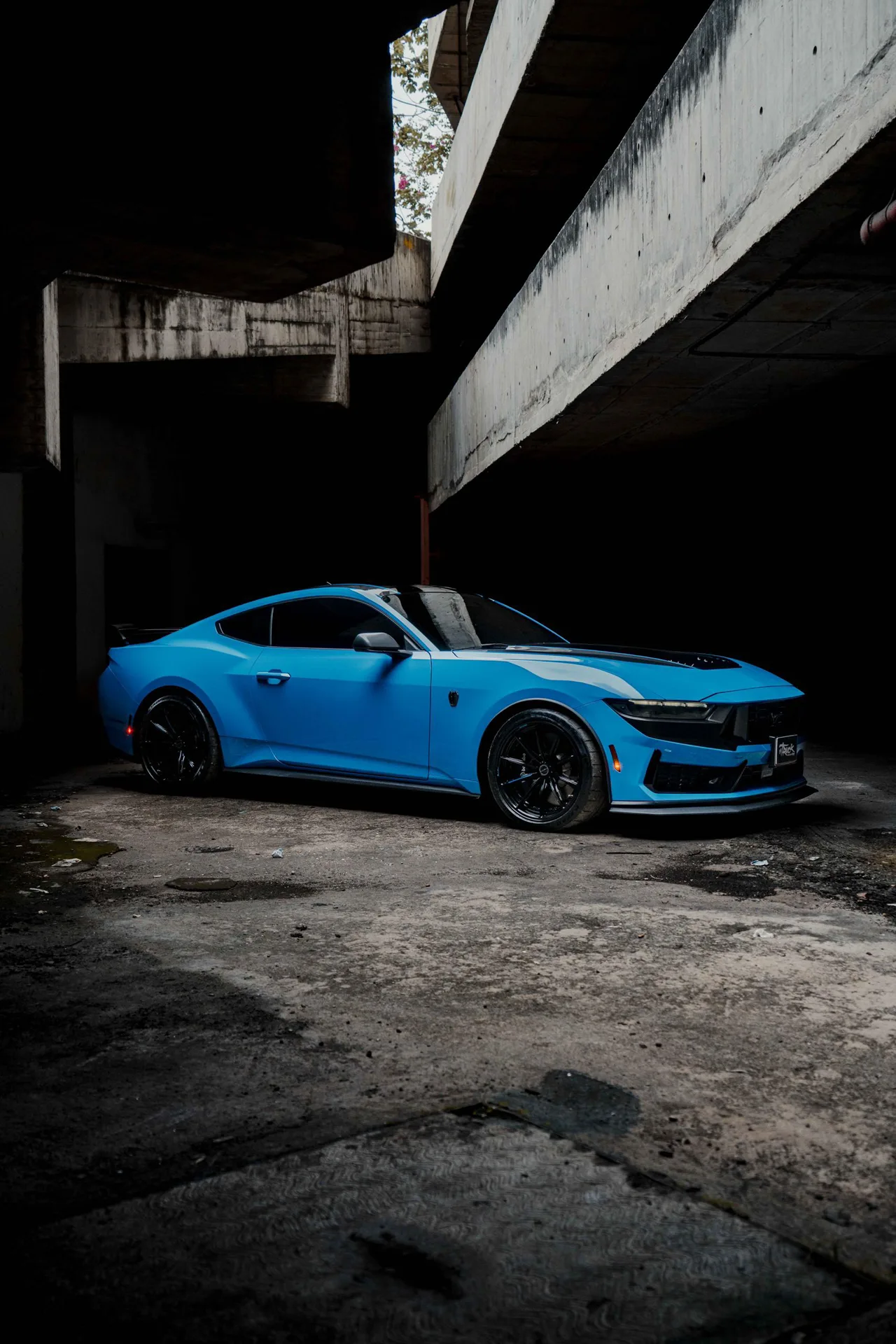 Brixton Forged FDE11 Duo Series on Ford Mustang Seventh generation, S650 (2024-present), photo 10