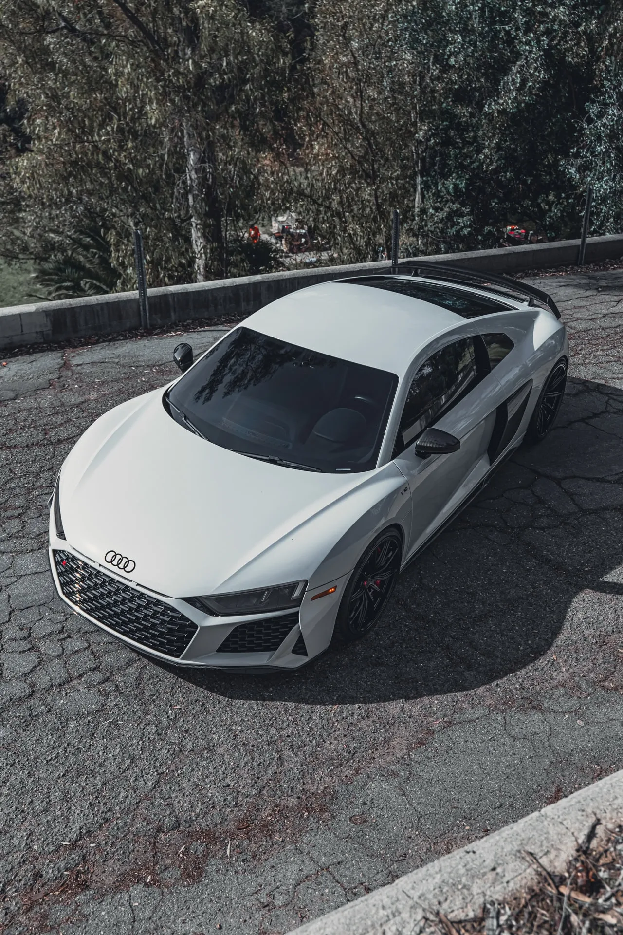 Brixton Forged FDE11 Ultrasport+ on Audi R8 Type 4S.1
